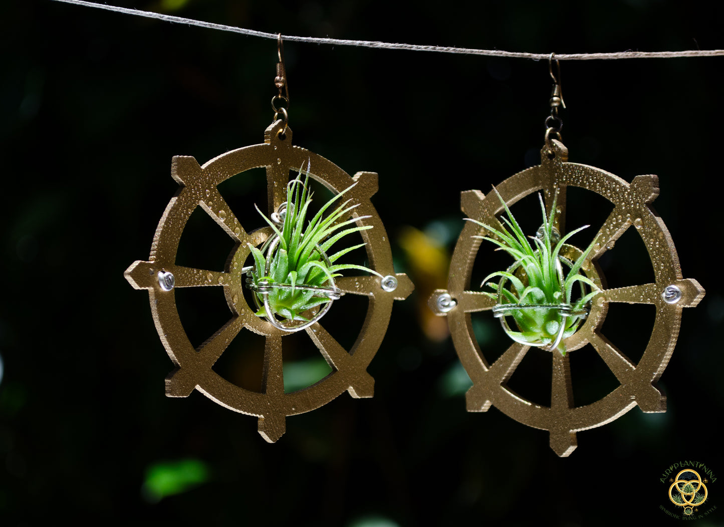 Wood Air Plant Earrings Heart, Moon, Circle, I-Ching Octagon