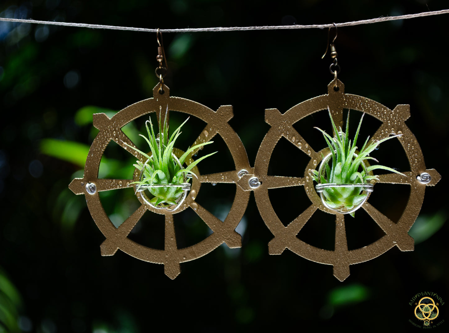 Wood Air Plant Earrings Heart, Moon, Circle, I-Ching Octagon