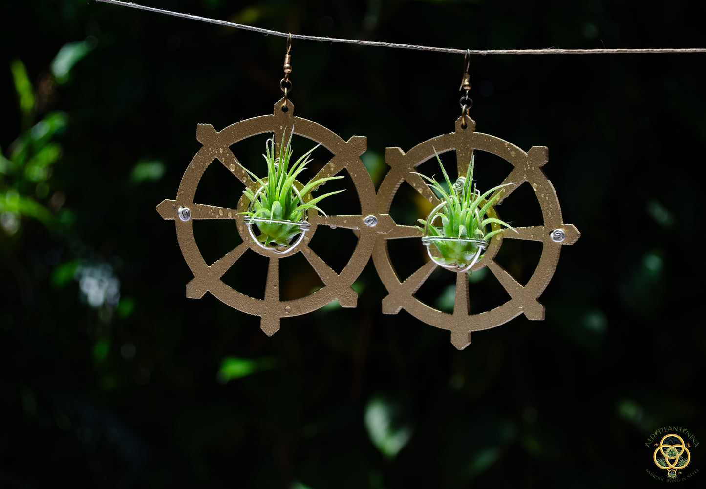 Wood Air Plant Earrings Heart, Moon, Circle, I-Ching Octagon