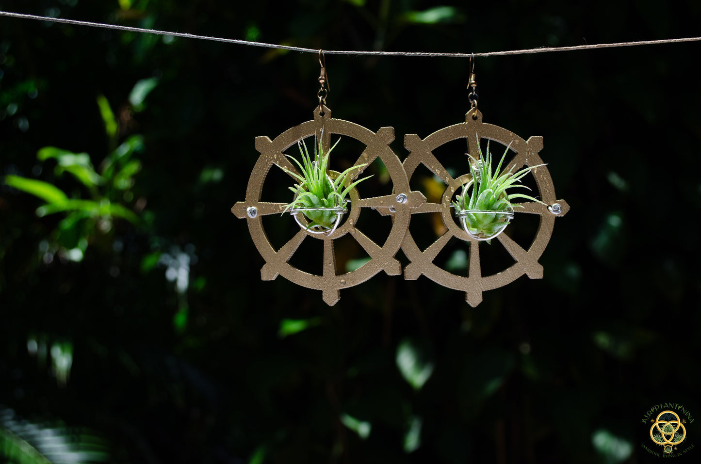 Wood Air Plant Earrings Heart, Moon, Circle, I-Ching Octagon