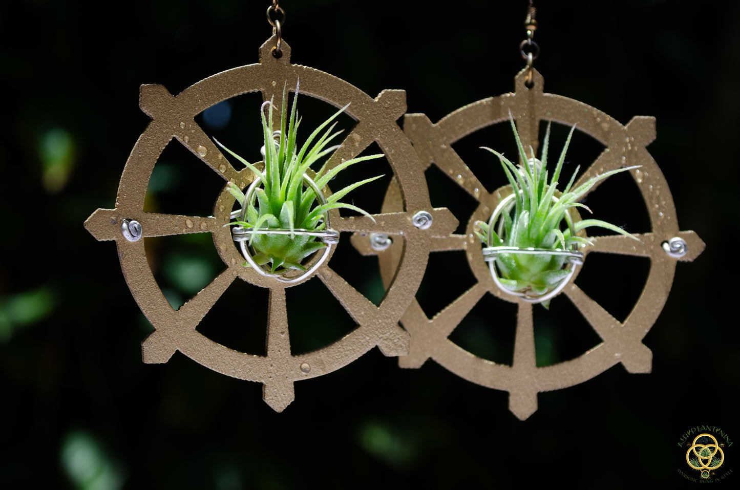 Wood Air Plant Earrings Heart, Moon, Circle, I-Ching Octagon