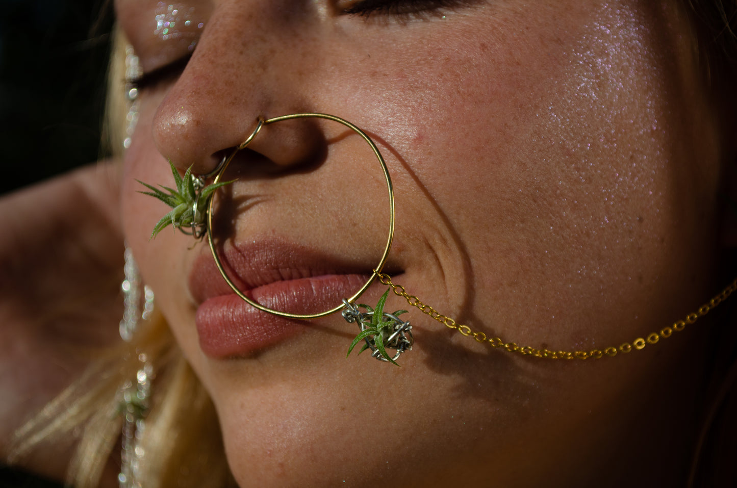 Air Plant Indian Nose Ring Hoop Nath~ Living Jewelry
