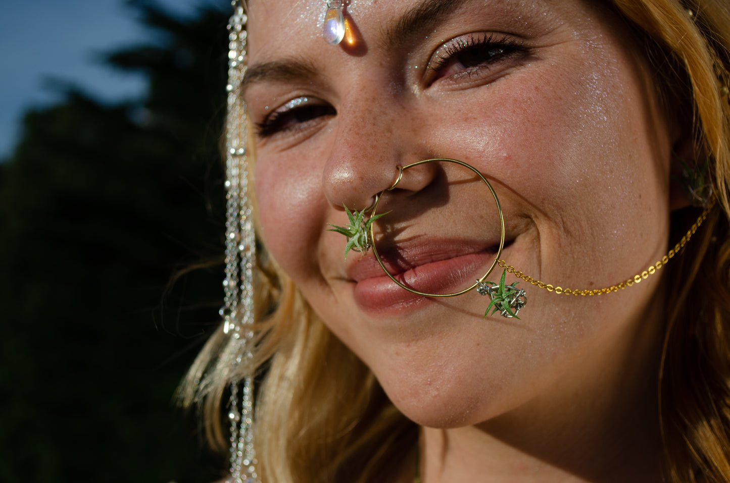 Air Plant Indian Nose Ring Hoop Nath~ Living Jewelry