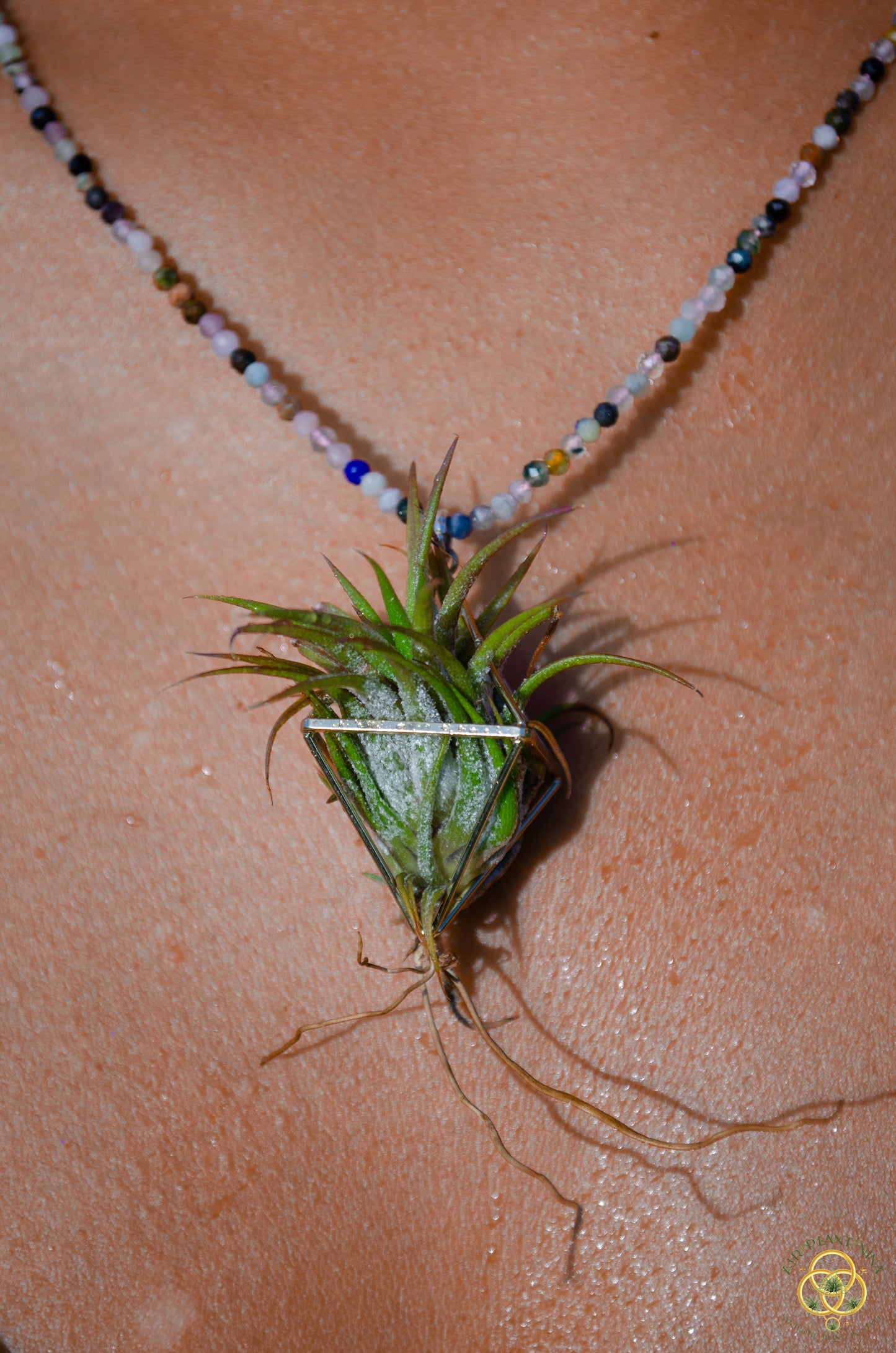 Gemstone Air Plant Pendant