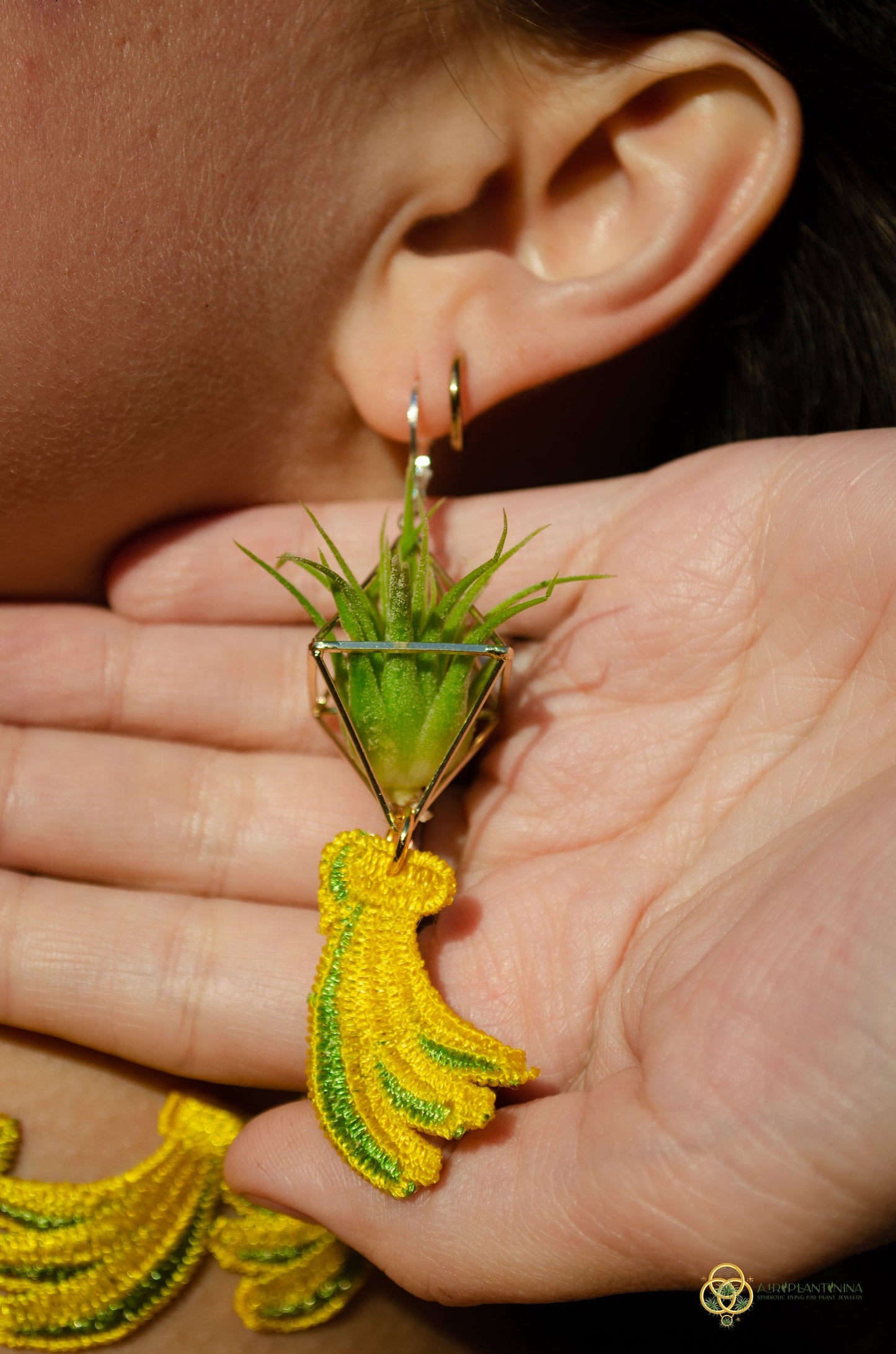Air Plant Choker Pendant  ~  Fruity Chokers + Earrings Set (Cherry, Grape, Banana, Watermelon, Strawberry)))