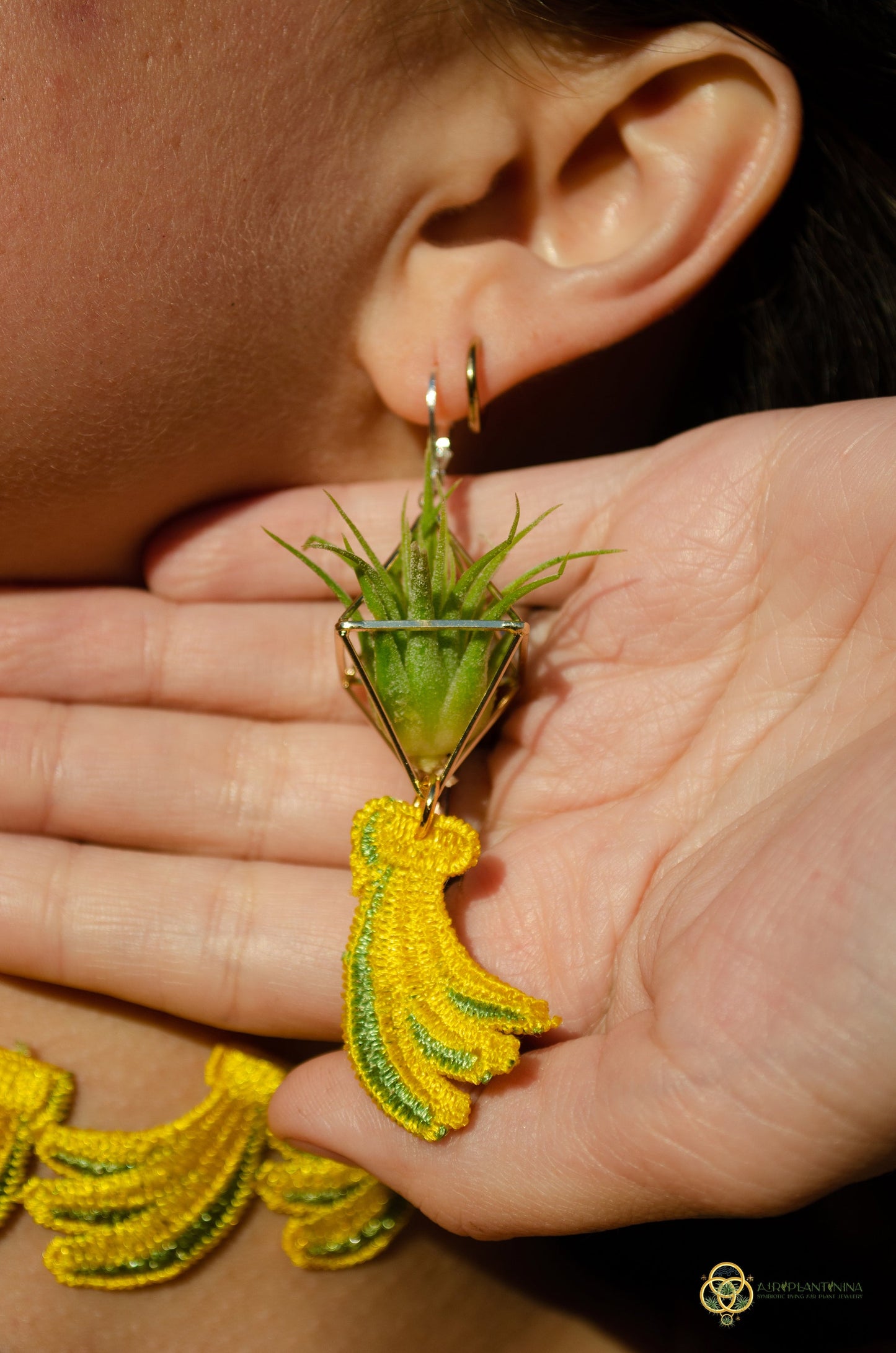 Air Plant Choker Pendant  ~  Fruity Chokers + Earrings Set (Cherry, Grape, Banana, Watermelon, Strawberry)))