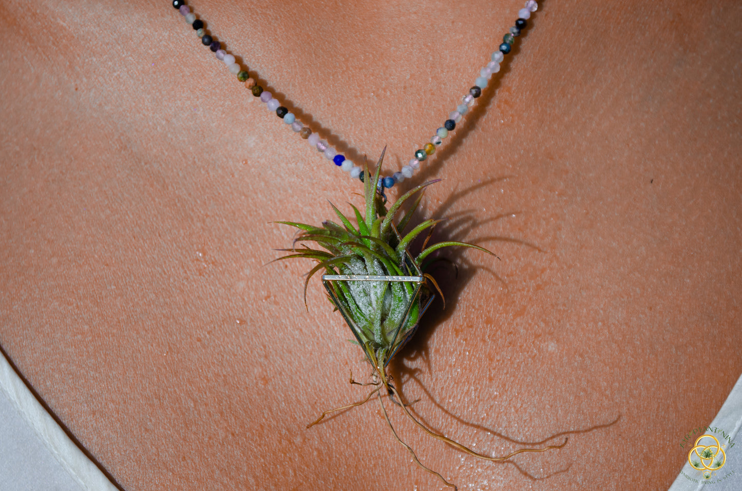 Gemstone Air Plant Pendant