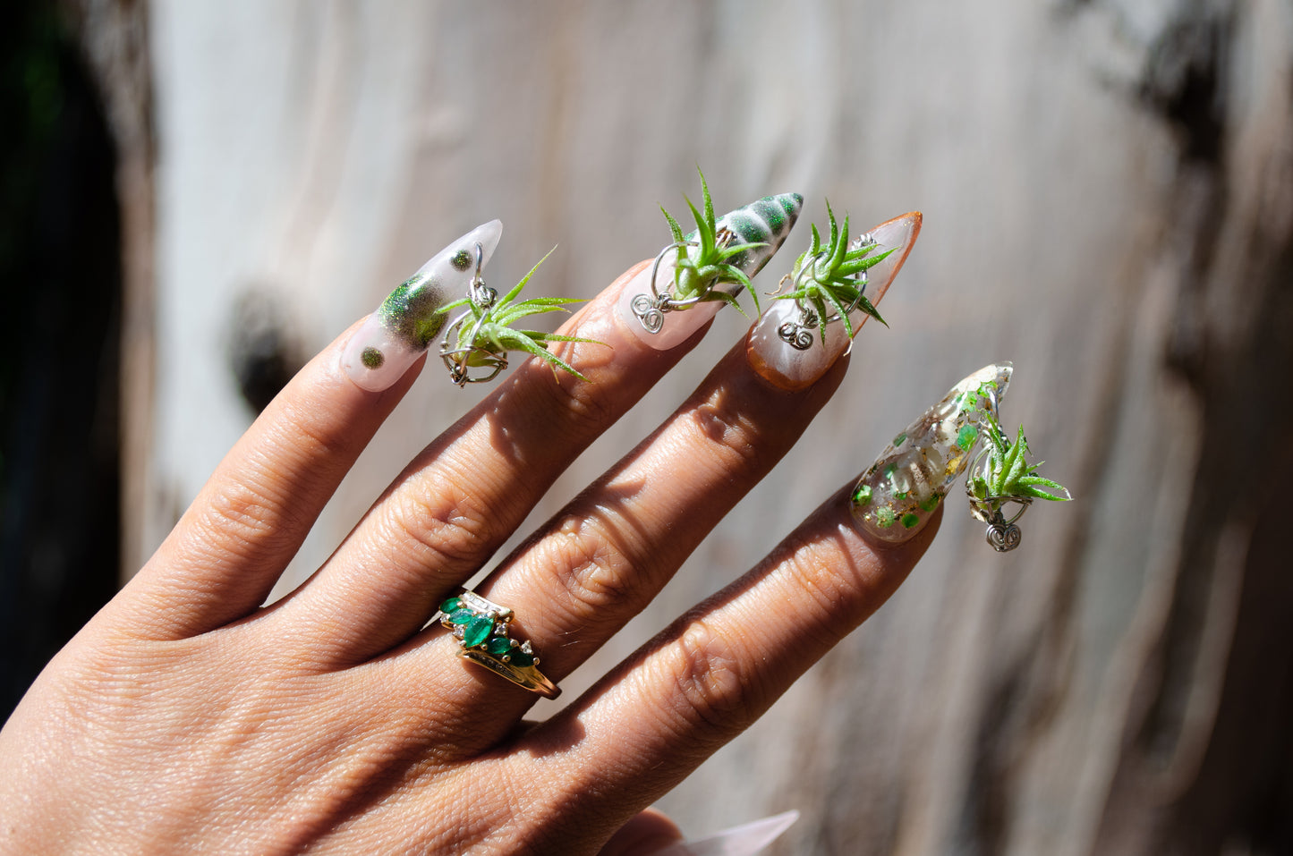 Air Plant Glam Nails ~ Interchangeable in Orbs