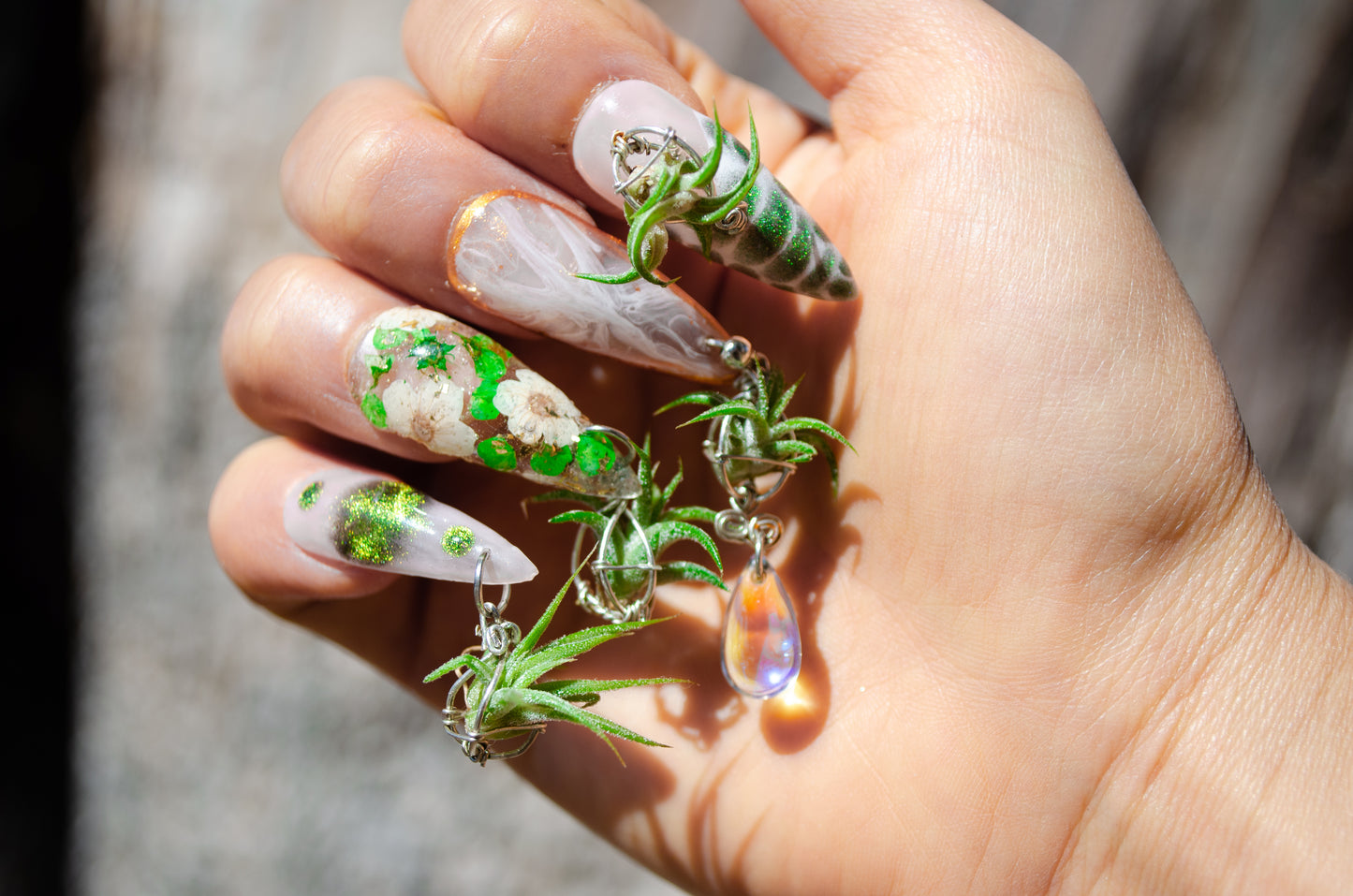 Air Plant Glam Nails ~ Interchangeable in Orbs