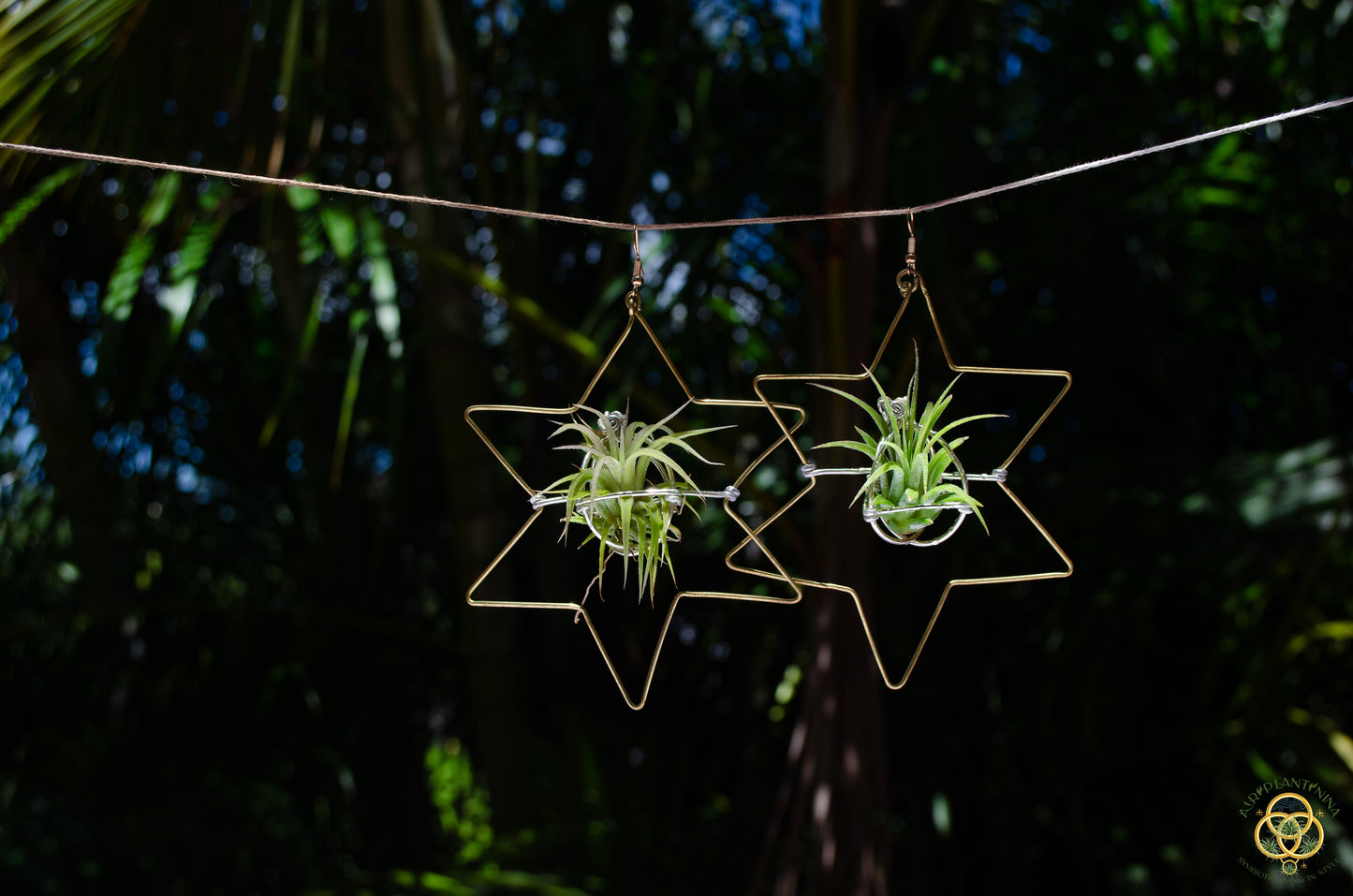 Air Plant Hoop Earrings Heart, Moon, Octagon