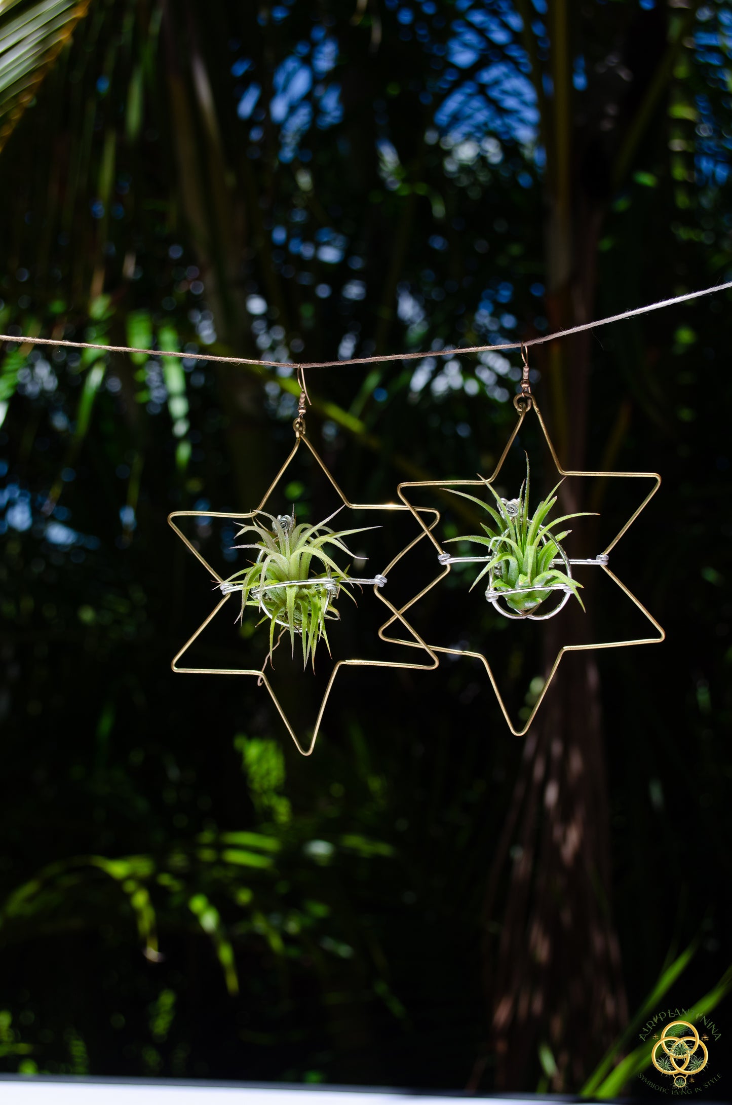 Air Plant Hoop Earrings Heart, Moon, Octagon