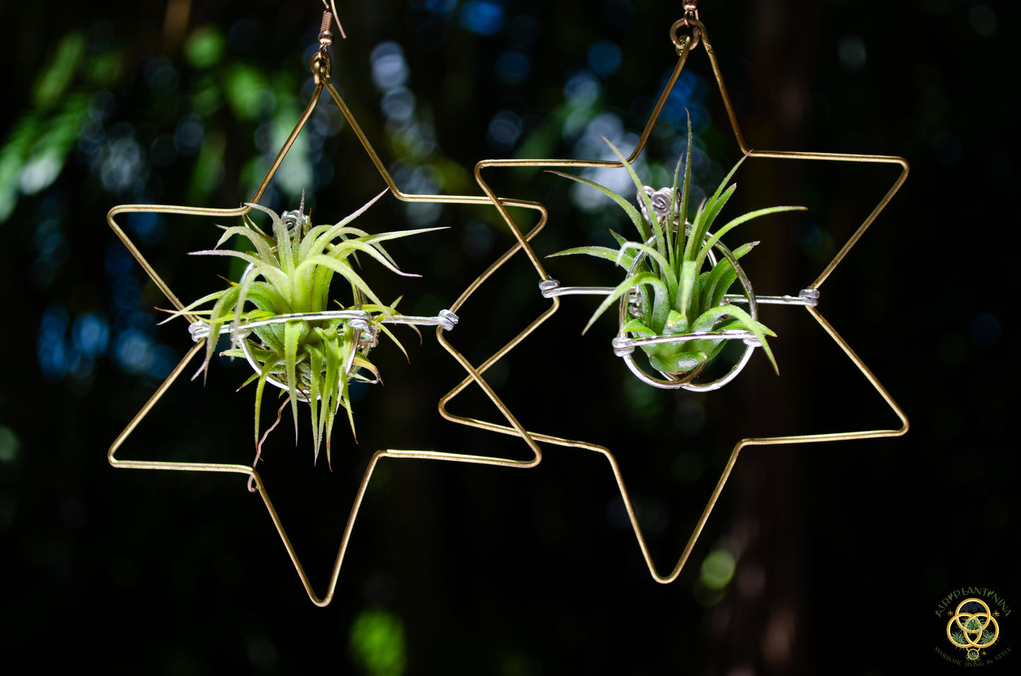 Merkaba Star & Octagon Air Plant Hoop Earrings ~ Geometric Hoops