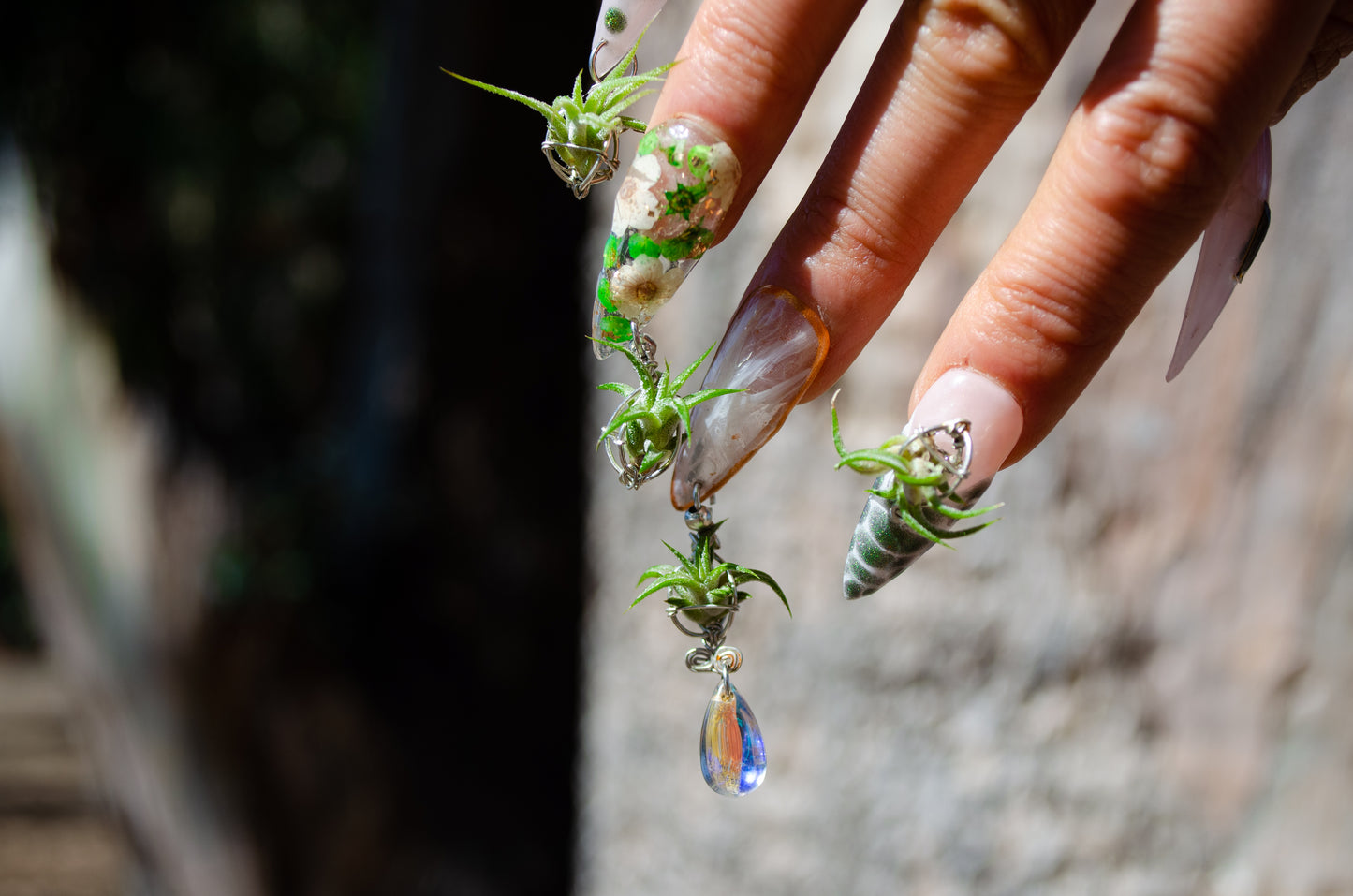 Air Plant Glam Nails ~ Interchangeable in Orbs