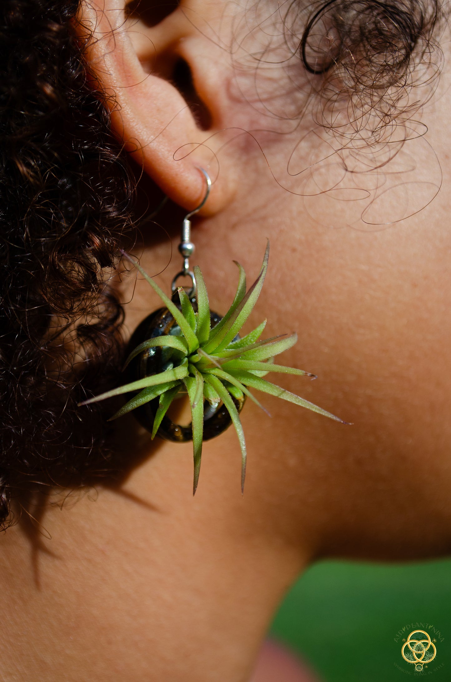 Lasercut Wooden Air Plant Orb Earrings ~ Japanese Tsugite Technique