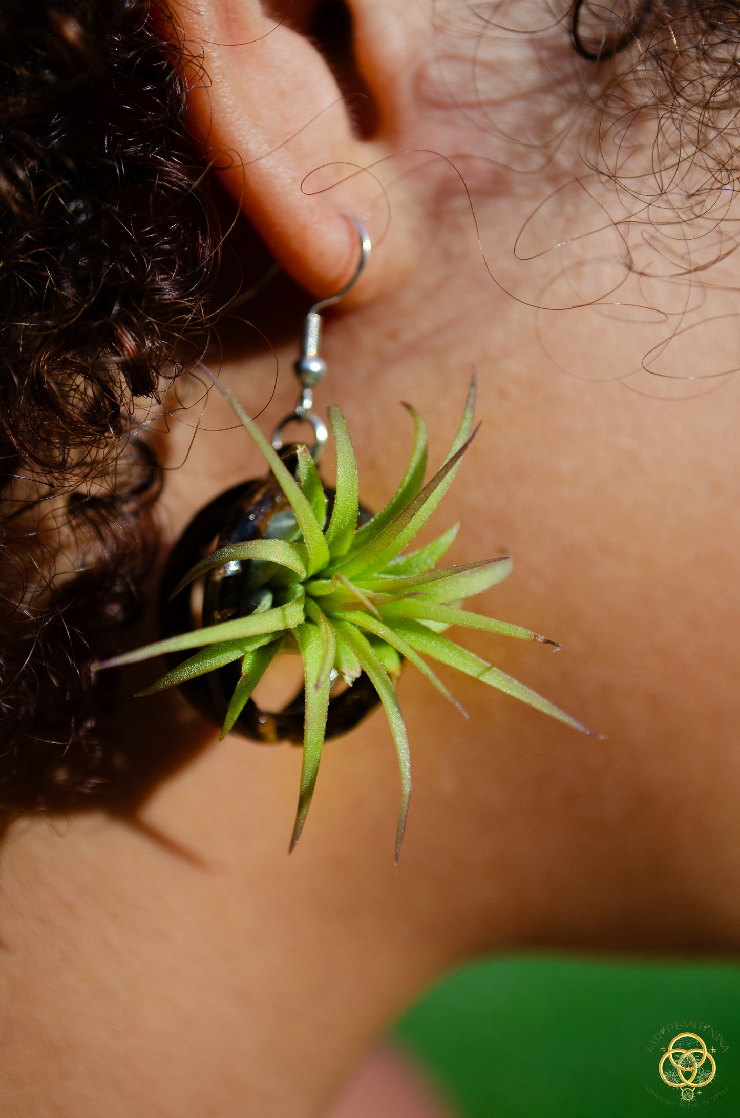 Lasercut Wooden Air Plant Orb Earrings ~ Japanese Tsugite Technique