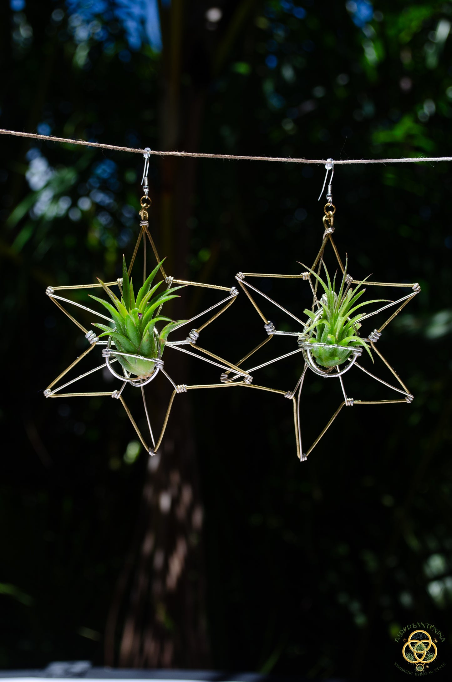 Air Plant Hoop Earrings Heart, Moon, Octagon