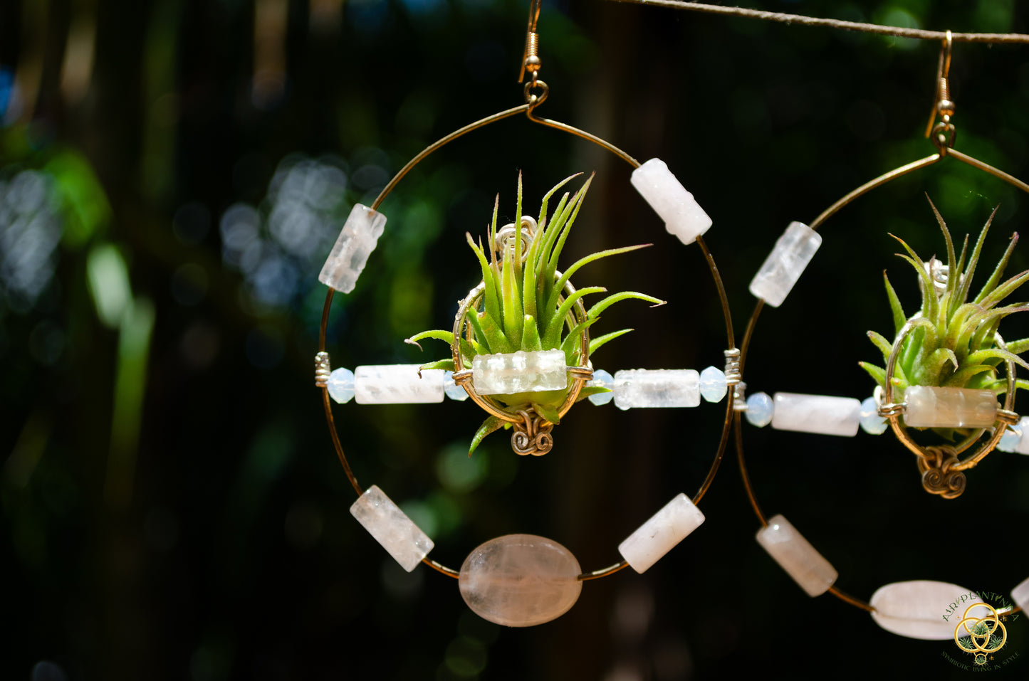 Crystal Jewel Beaded Air Plant Hoop Earrings