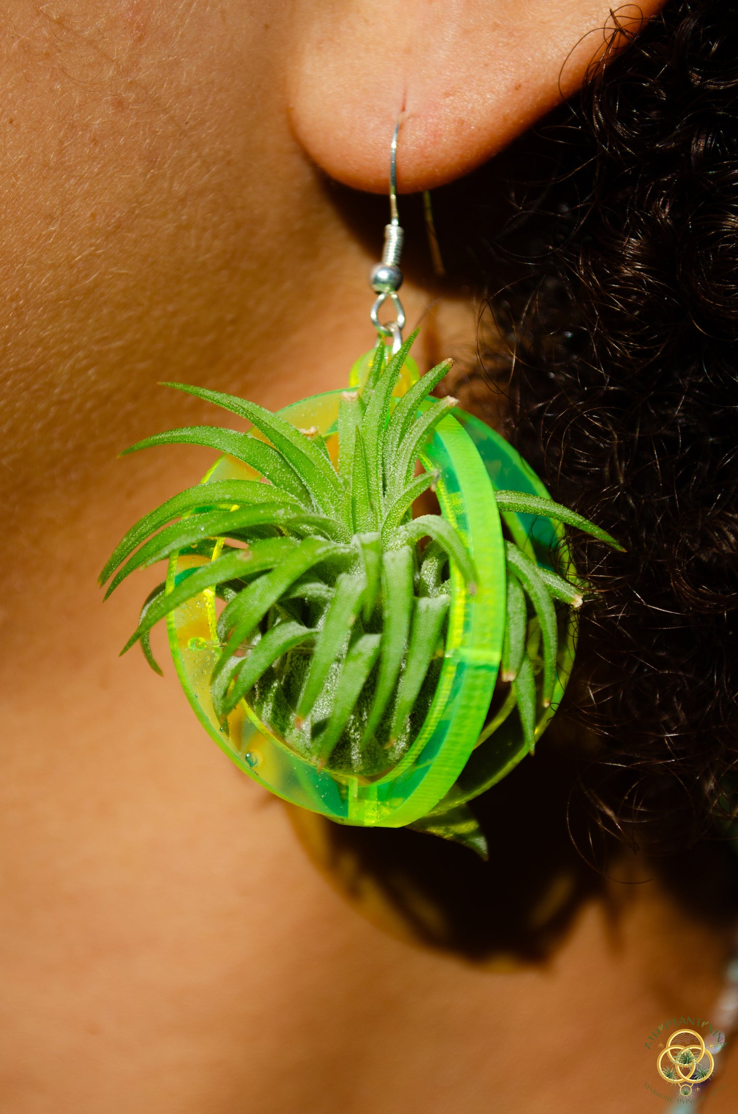 Air Plant Orb Earrings Blacklight Holographic ~ Lasercut Original Design