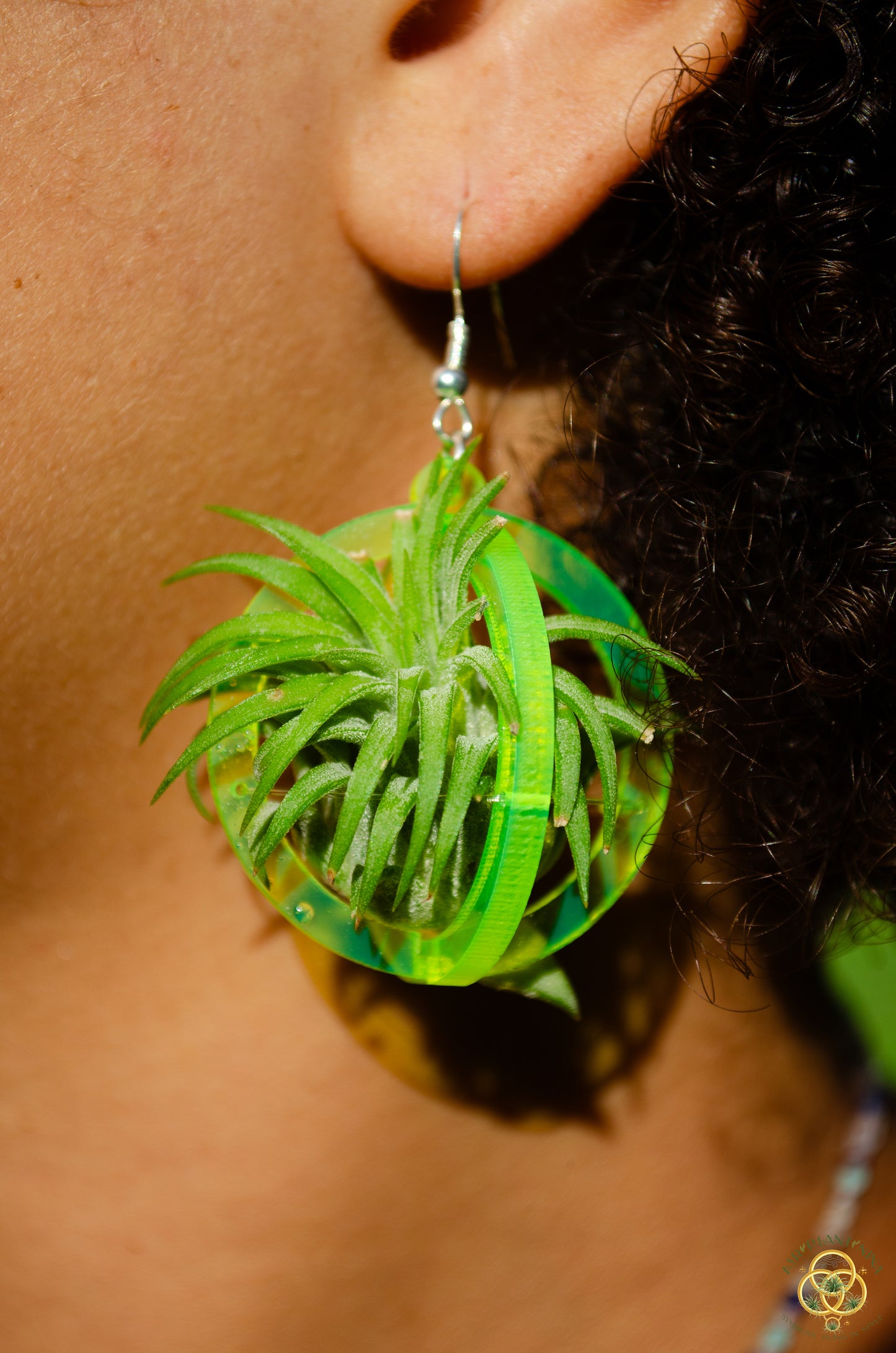 Air Plant Orb Earrings Blacklight Holographic ~ Lasercut Original Design