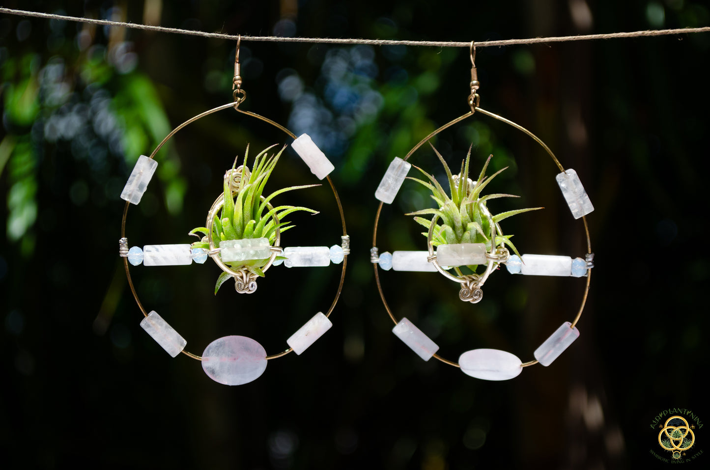 Crystal Jewel Beaded Air Plant Hoop Earrings
