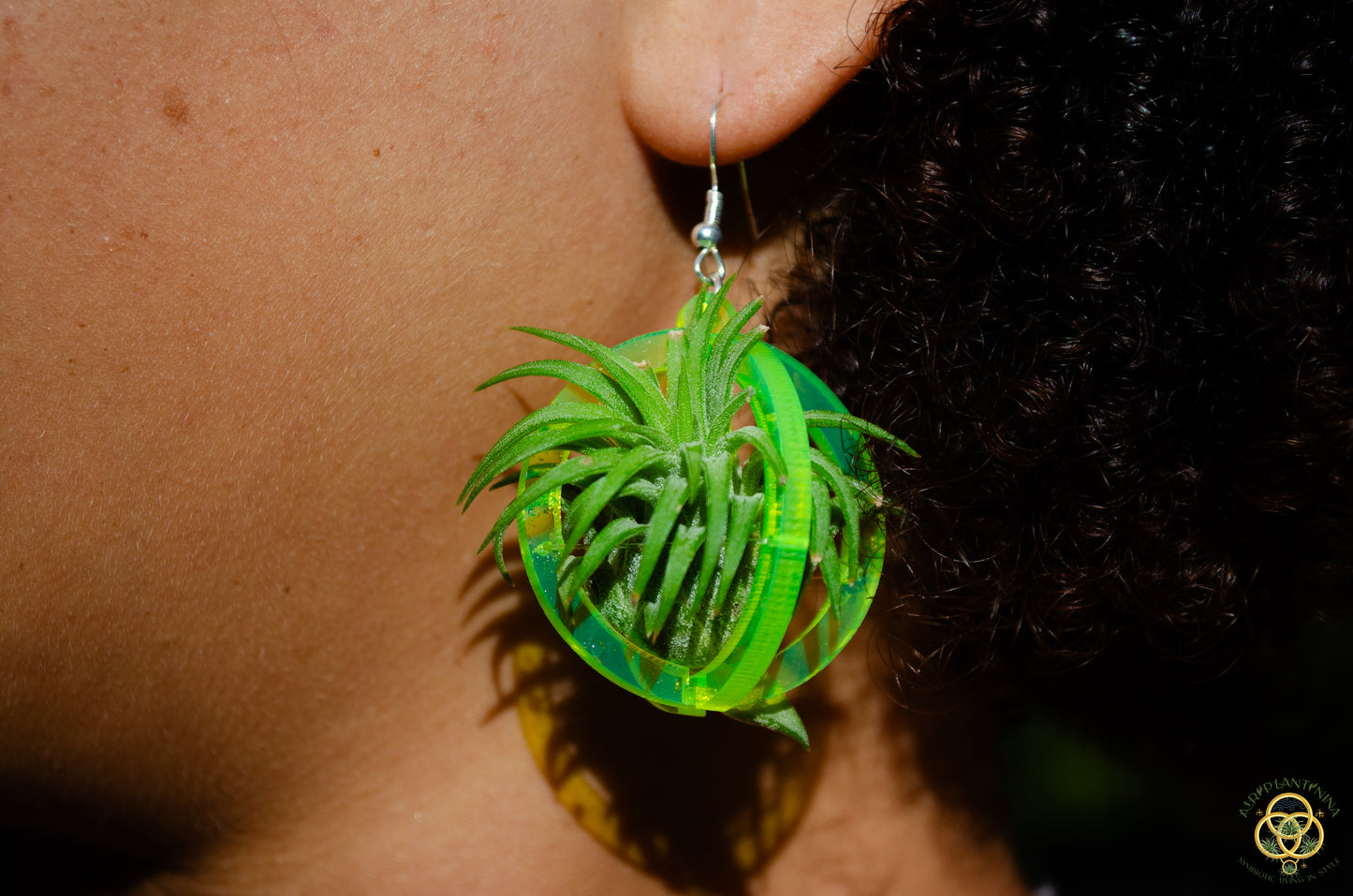 Air Plant Orb Earrings Blacklight Holographic ~ Lasercut Original Design