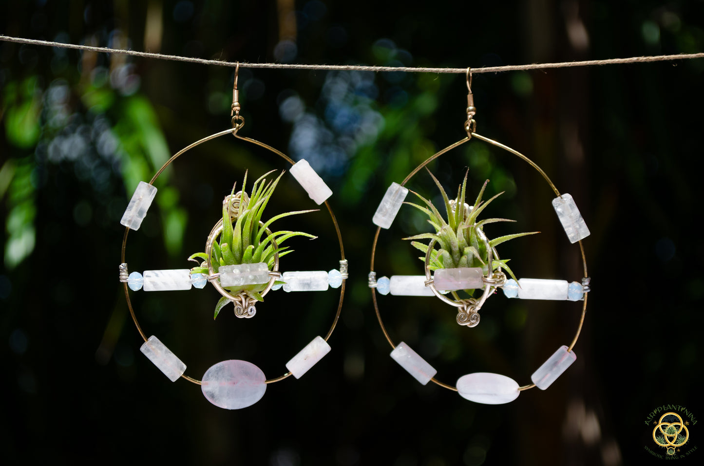 Crystal Jewel Beaded Air Plant Hoop Earrings