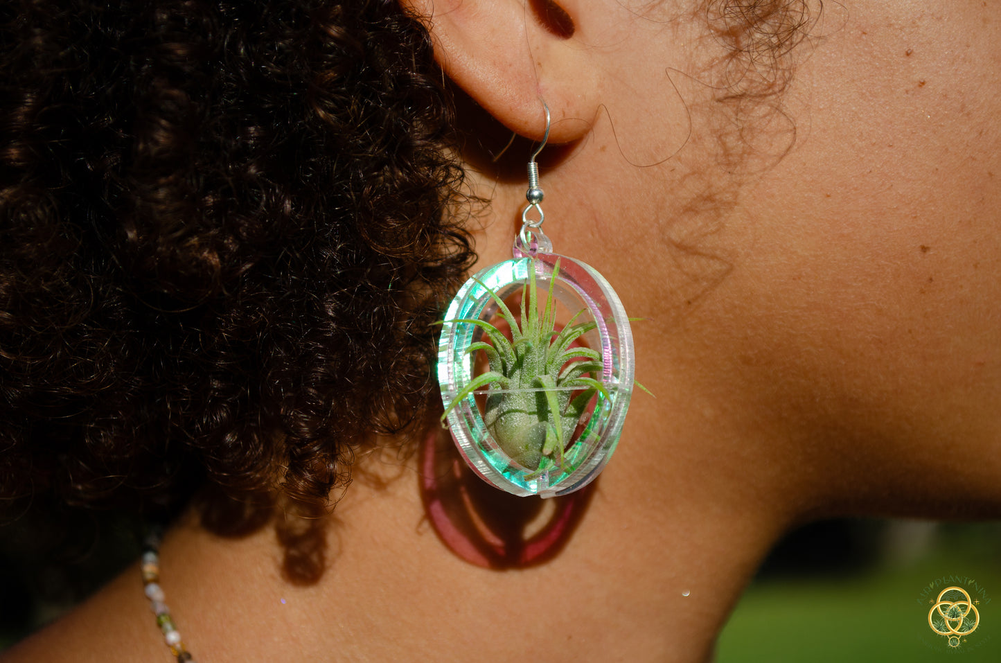 Air Plant Orb Earrings Blacklight Holographic ~ Lasercut Original Design