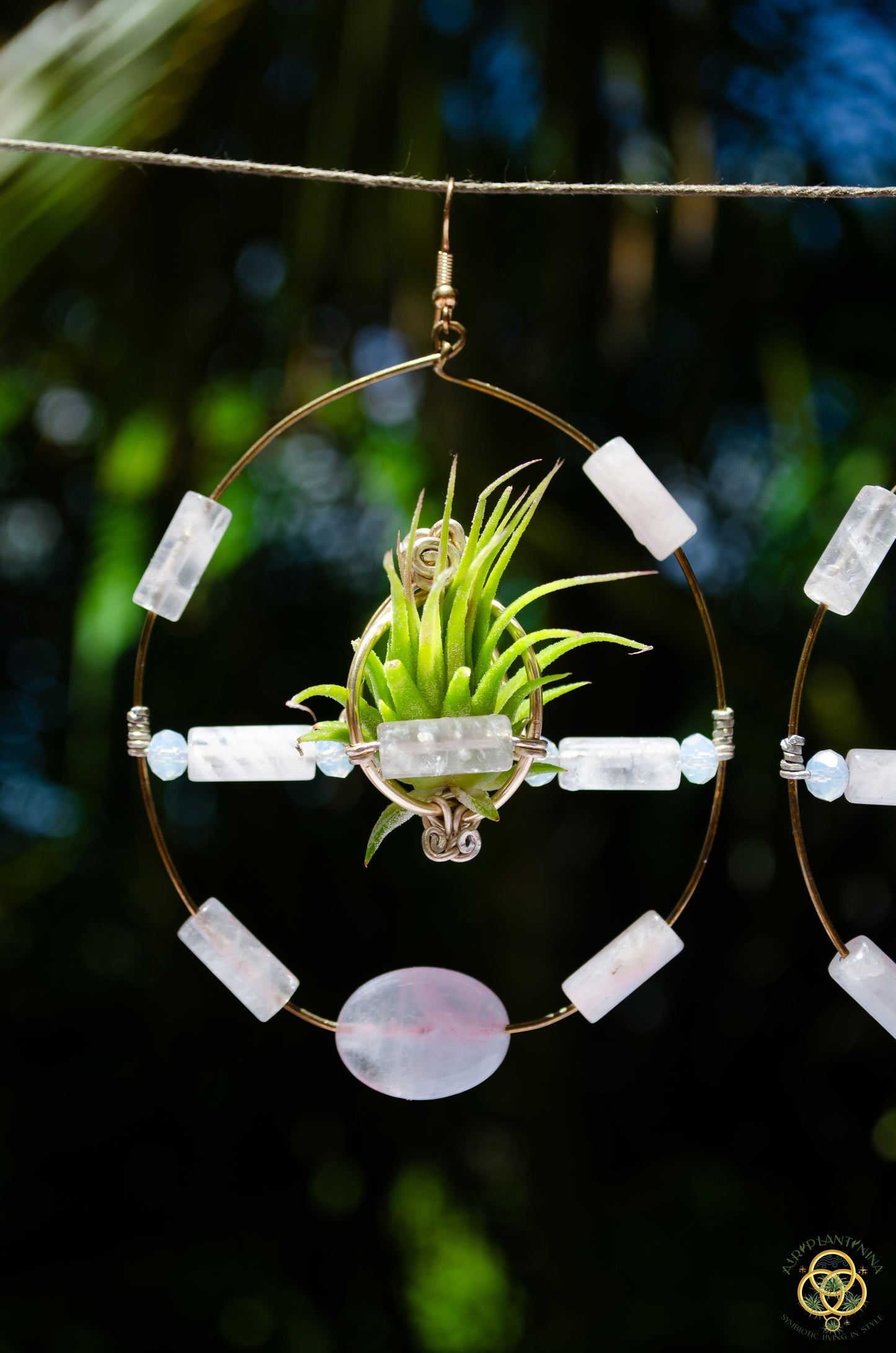 Crystal Jewel Beaded Air Plant Hoop Earrings