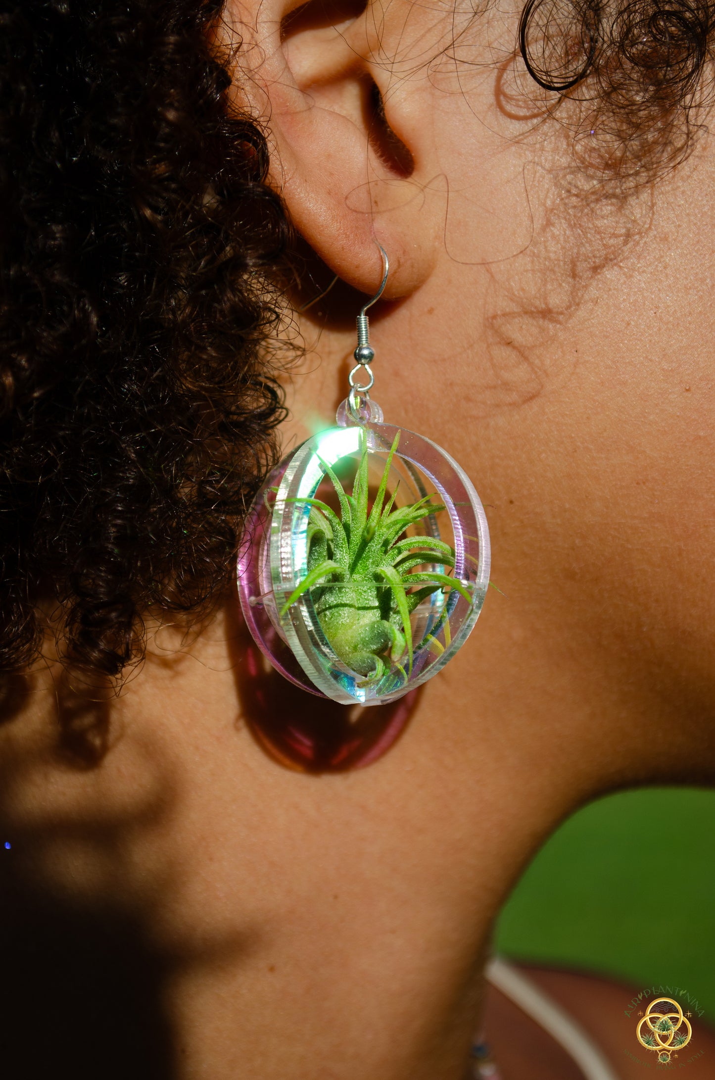 Air Plant Orb Earrings Blacklight Holographic ~ Lasercut Original Design