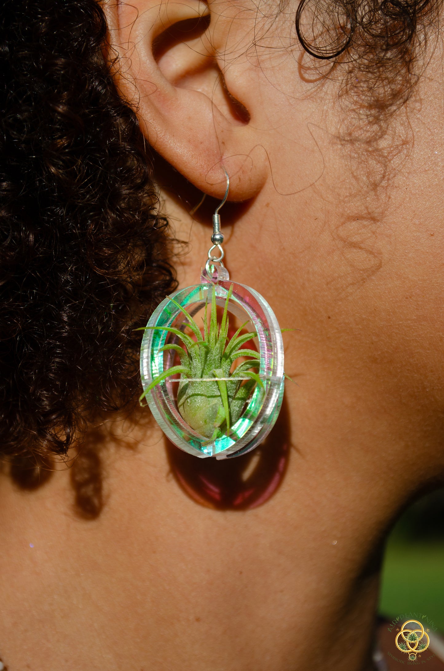 Air Plant Orb Earrings Blacklight Holographic ~ Lasercut Original Design