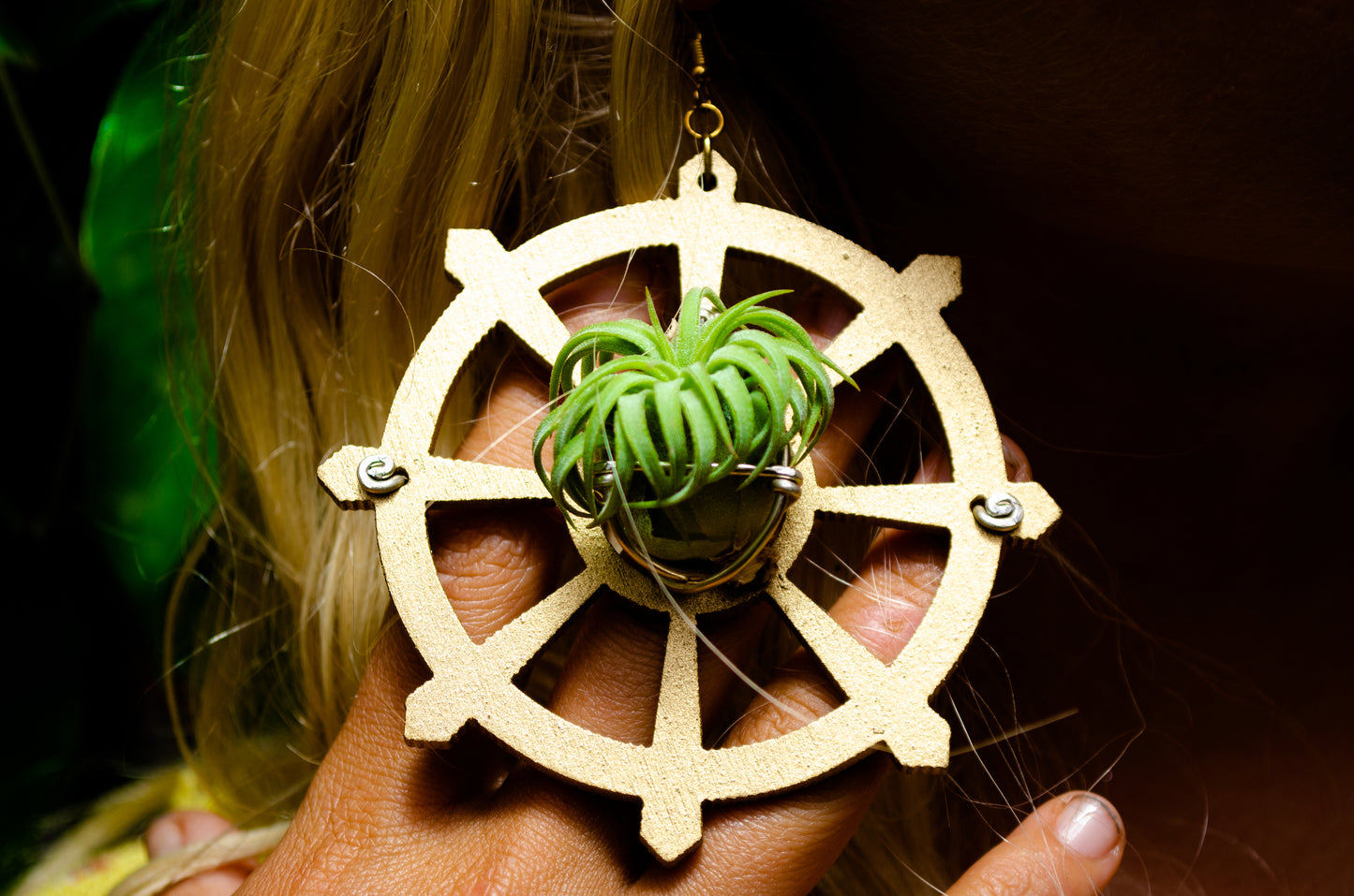 Wood Air Plant Earrings Heart, Moon, Circle, I-Ching Octagon