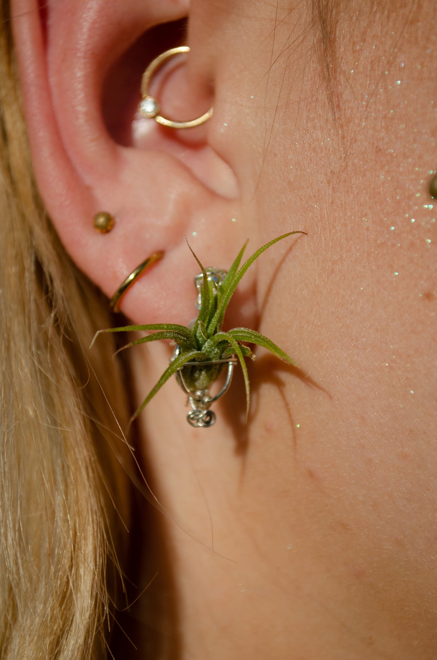 Air Plant Orb Stud Earrings Dainty & Cute