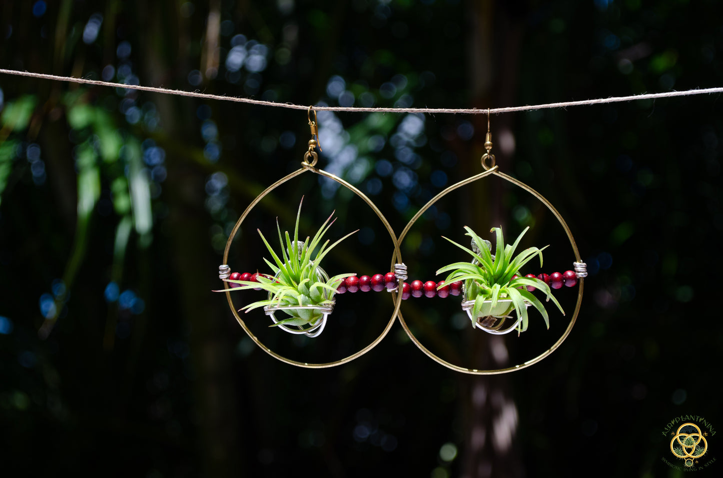 Living Air Plant Living Hoop Earrings