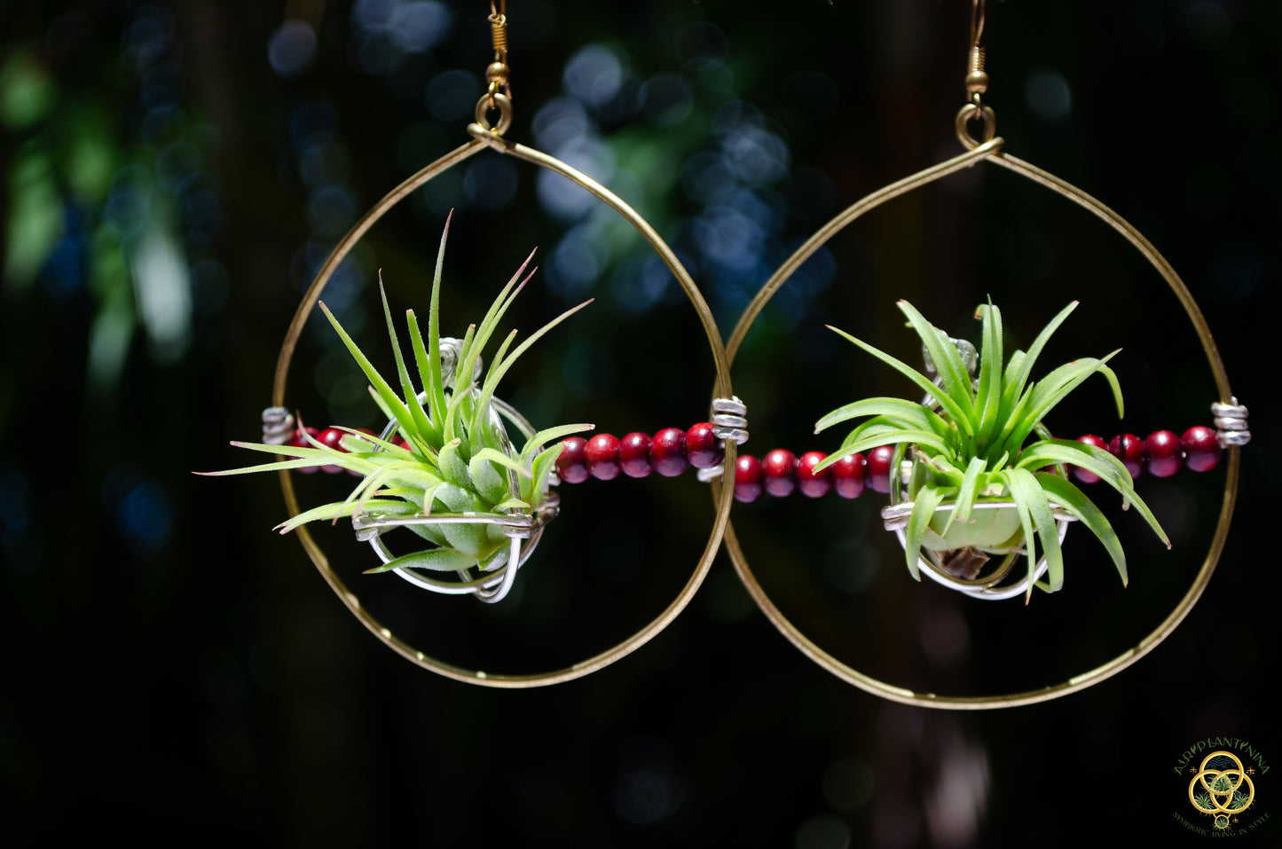 Living Air Plant Living Hoop Earrings