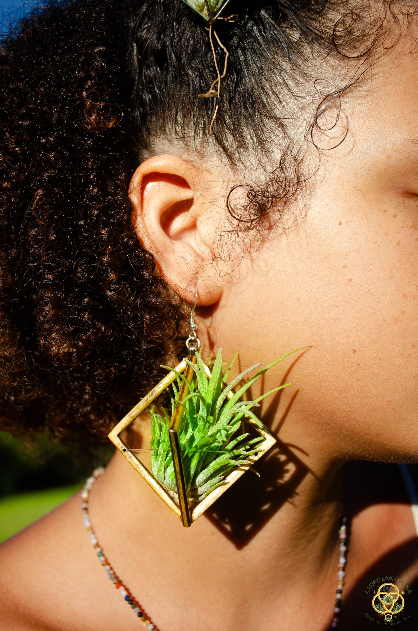 Lasercut Wooden Octahedron Air Plant Earrings ~ Japanese Tsugite Technique