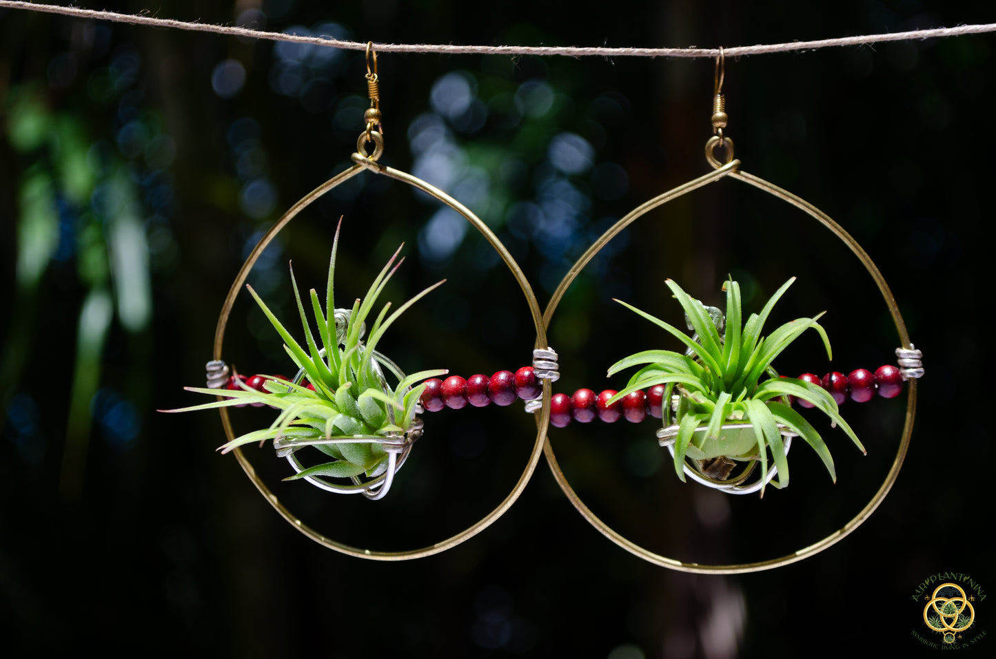 Living Air Plant Living Hoop Earrings