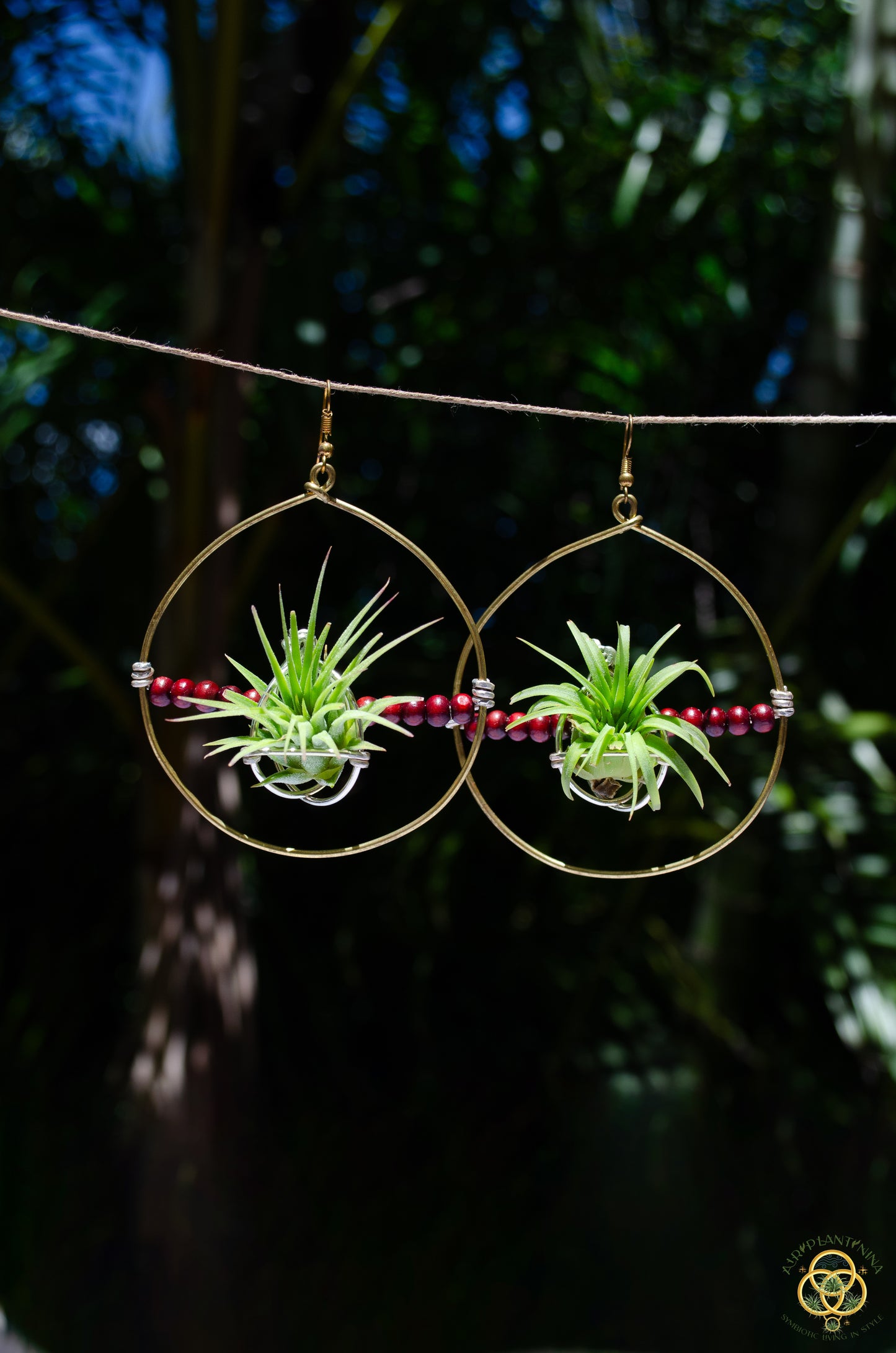 Living Air Plant Living Hoop Earrings