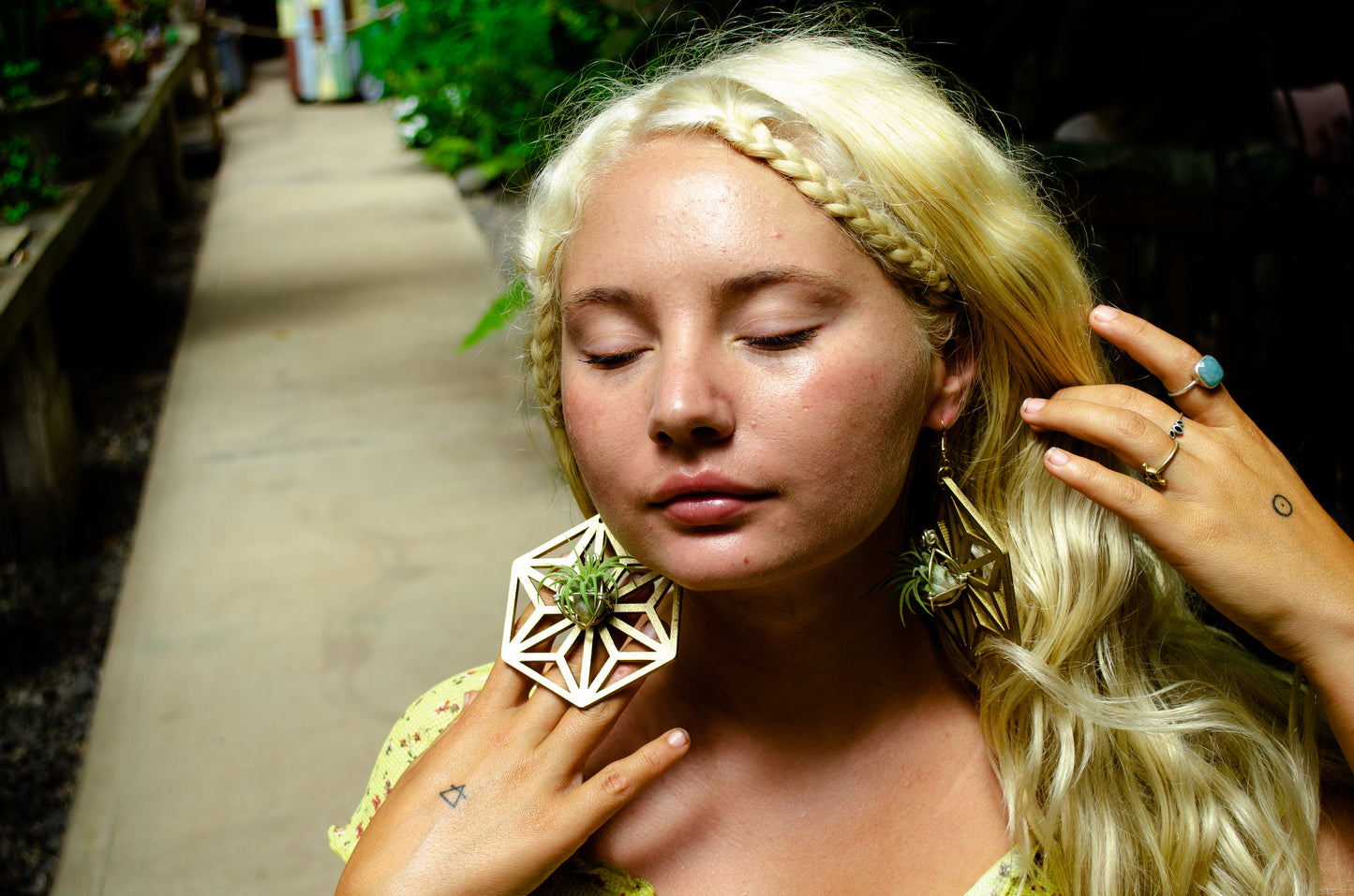 AsaNoHa Air Plant Wood Hoop Earrings Japanese Sacred Geometry Star ้บปใฎ่