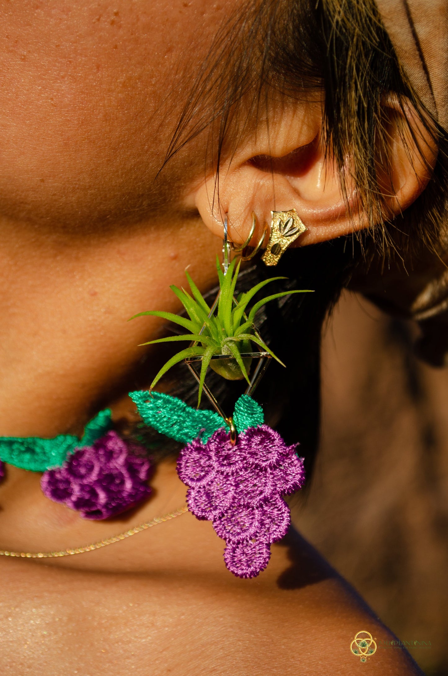 Air Plant Choker Pendant  ~  Fruity Chokers + Earrings Set (Cherry, Grape, Banana, Watermelon, Strawberry)))