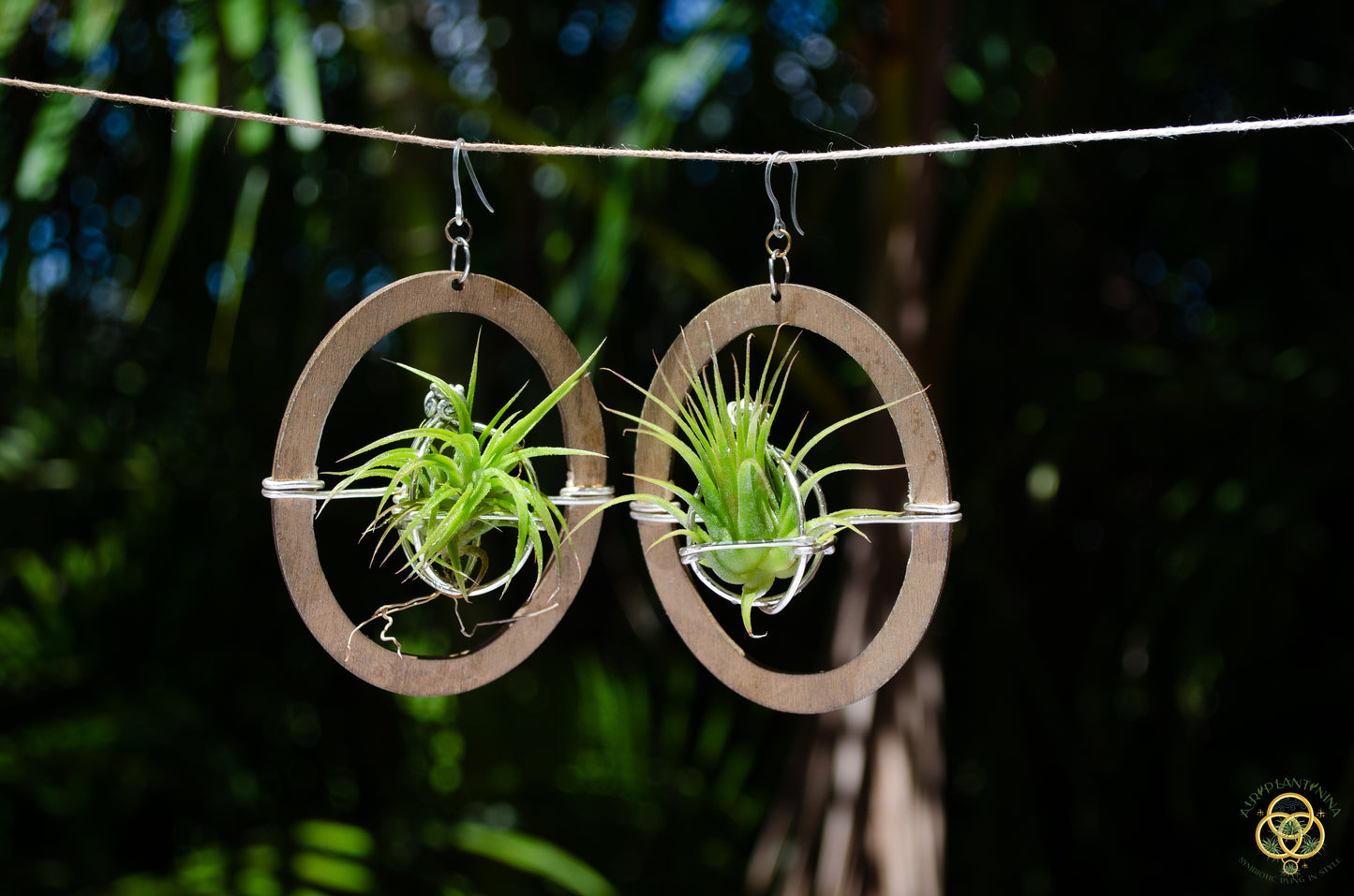 Wood Air Plant Earrings Heart, Moon, Circle, I-Ching Octagon