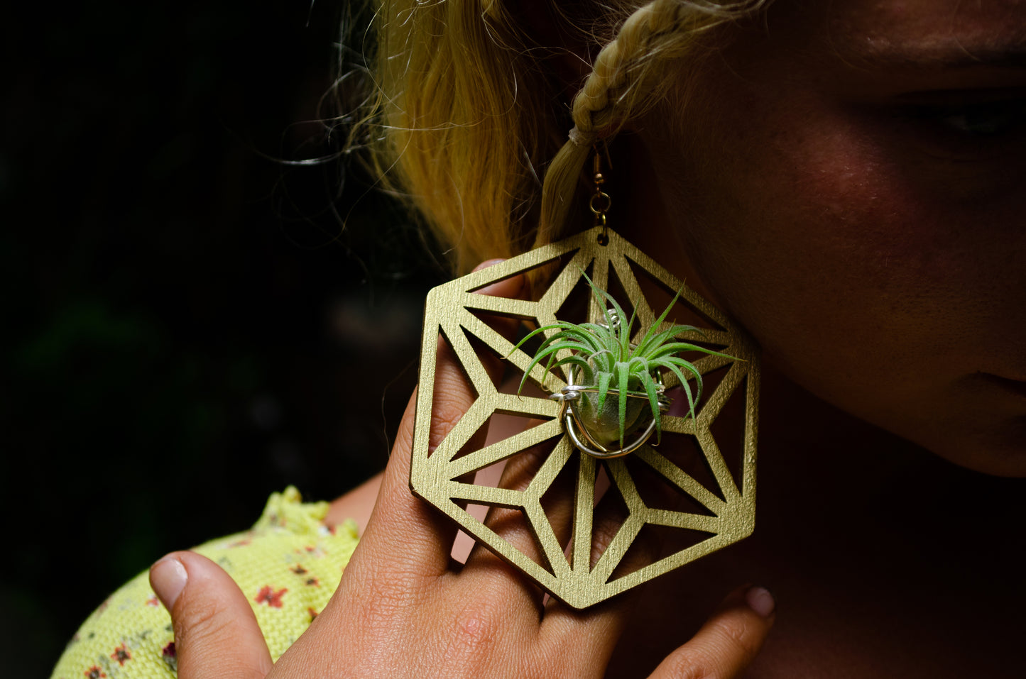 AsaNoHa Air Plant Wood Hoop Earrings Japanese Sacred Geometry Star ้บปใฎ่