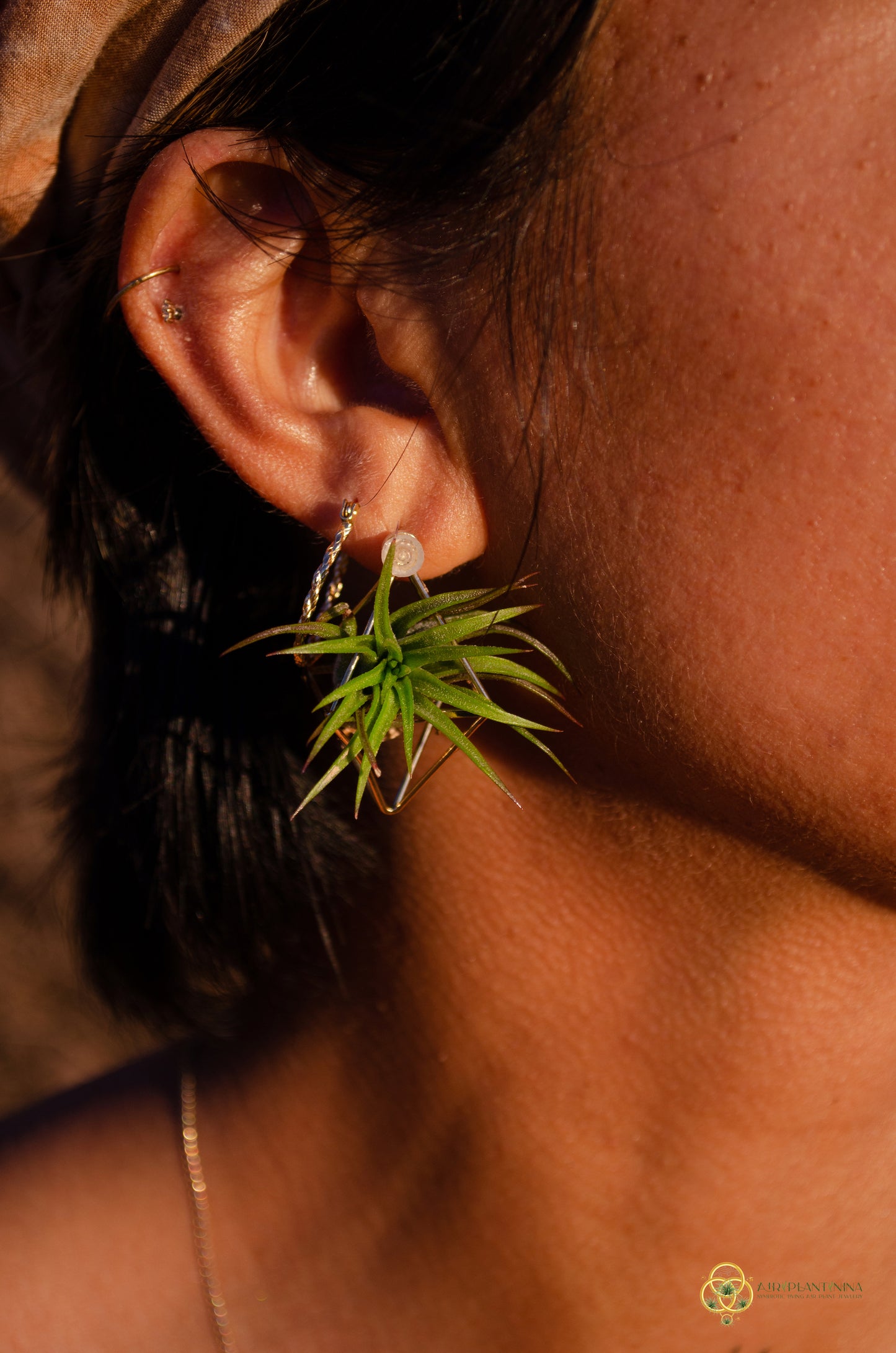 Air Plant Stud Earrings ~ Mini Octahedron Studs