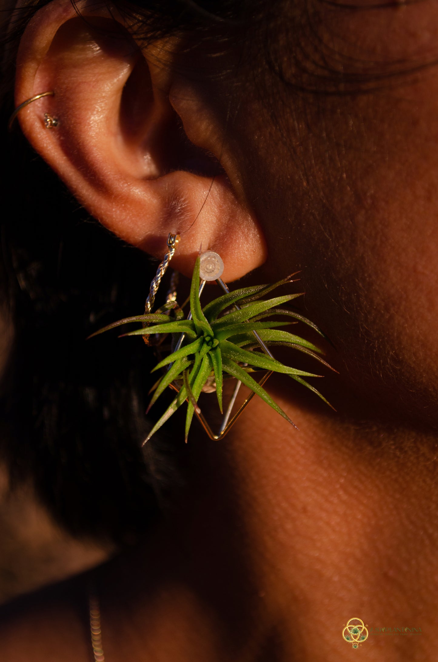 Air Plant Stud Earrings ~ Mini Octahedron Studs
