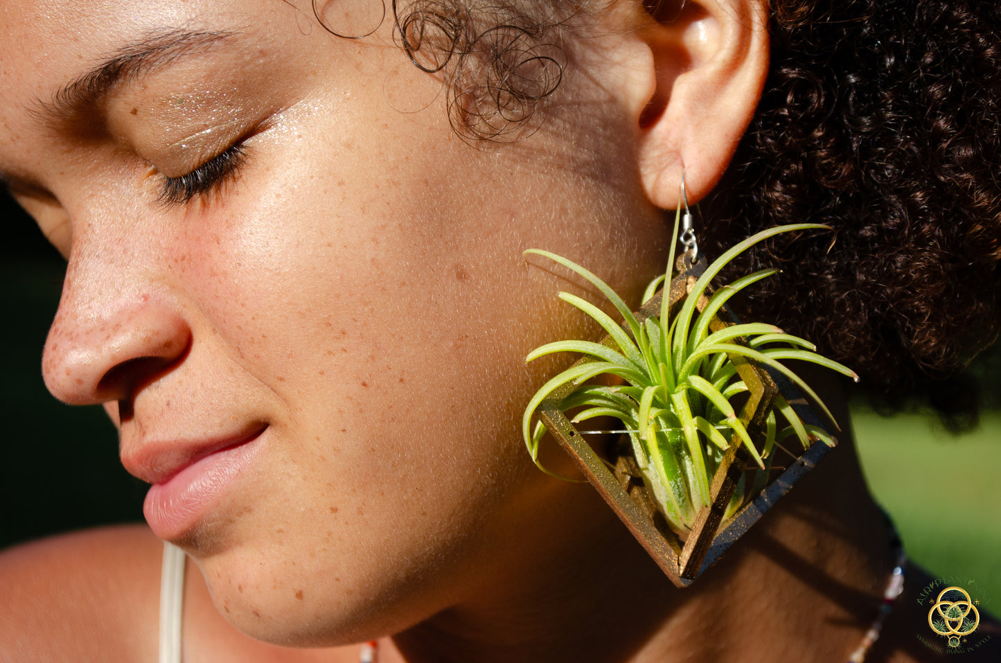Lasercut Wooden Octahedron Air Plant Earrings ~ Japanese Tsugite Technique