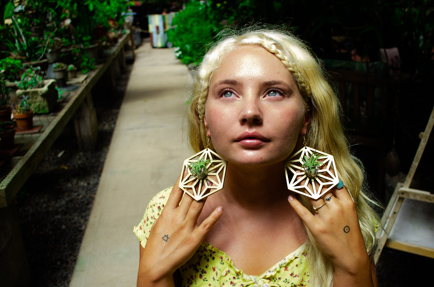 AsaNoHa Air Plant Wood Hoop Earrings Japanese Sacred Geometry Star ้บปใฎ่
