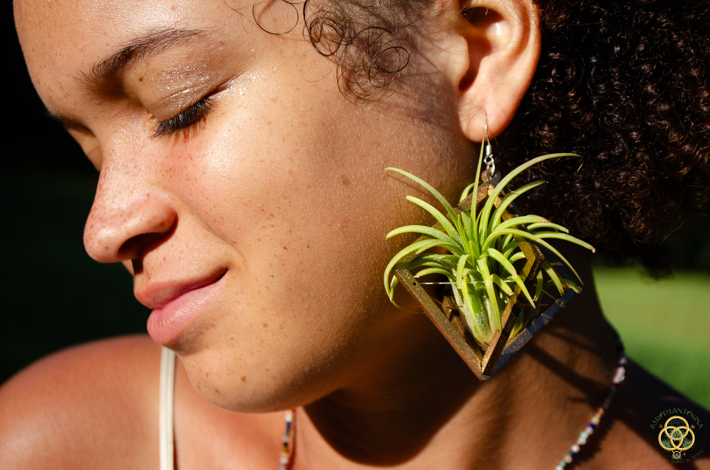 Lasercut Wooden Octahedron Air Plant Earrings ~ Japanese Tsugite Technique