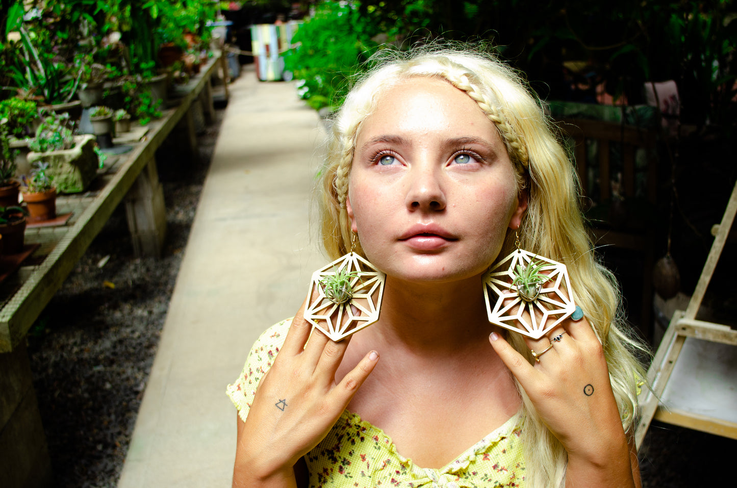 AsaNoHa Air Plant Wood Hoop Earrings Japanese Sacred Geometry Star ้บปใฎ่