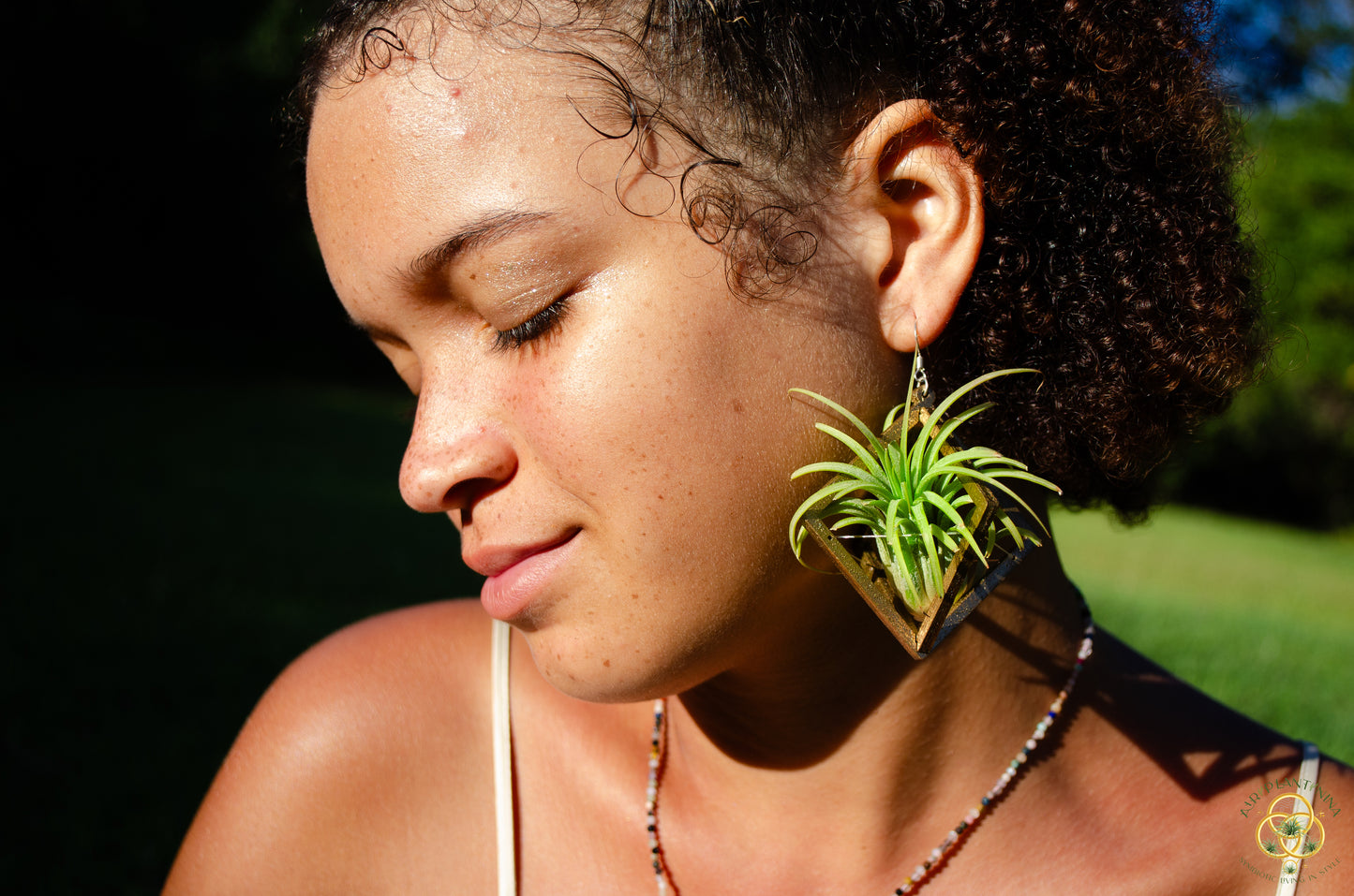 Lasercut Wooden Octahedron Air Plant Earrings ~ Japanese Tsugite Technique