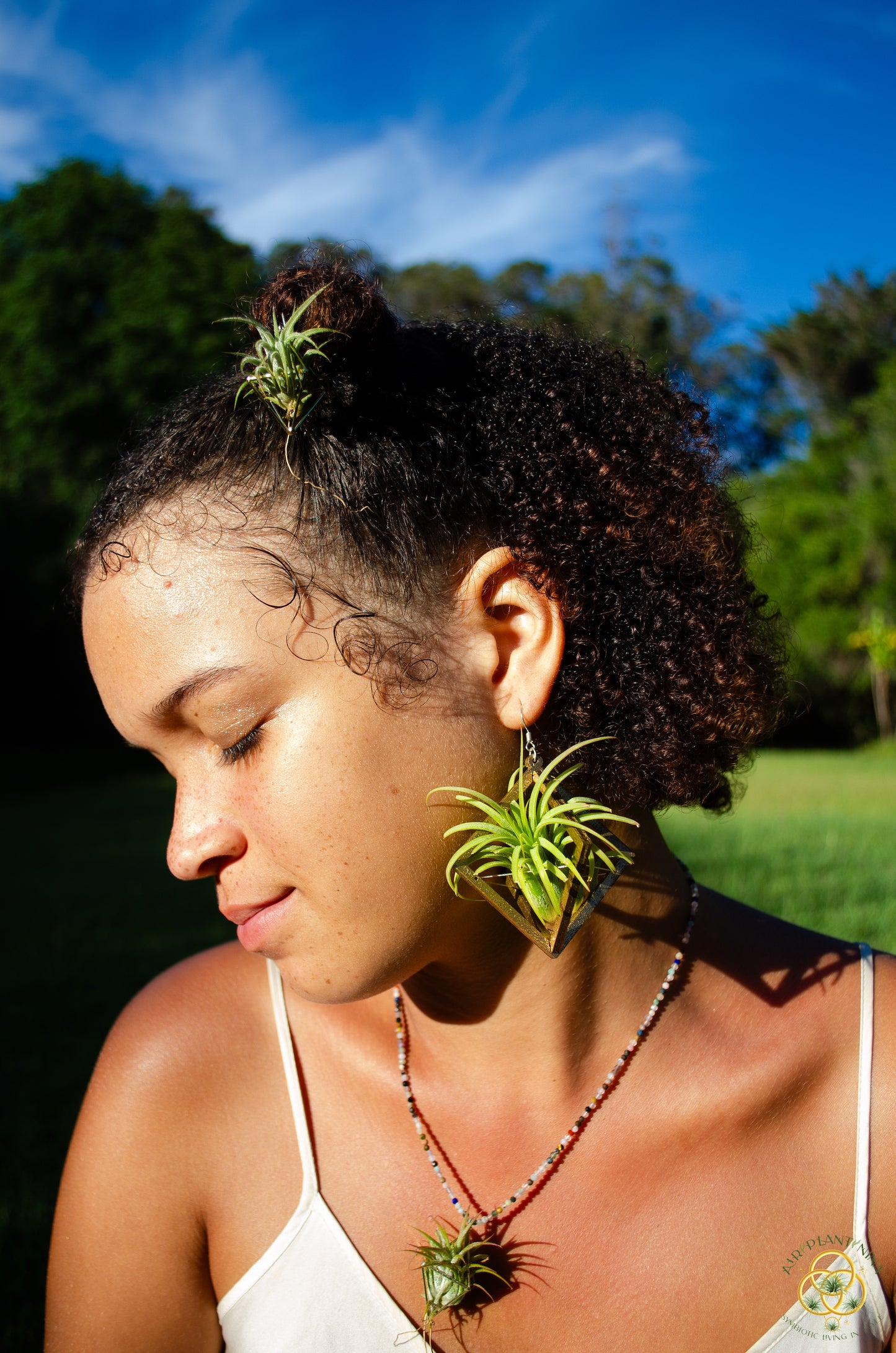 Gemstone Air Plant Pendant
