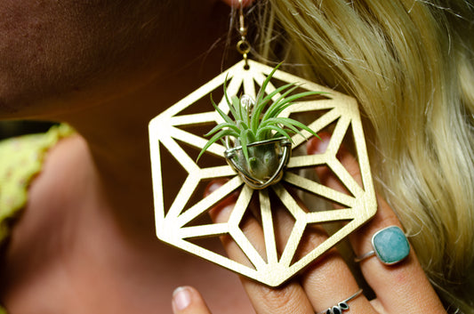 AsaNoHa Air Plant Wood Hoop Earrings Japanese Sacred Geometry Star ้บปใฎ่